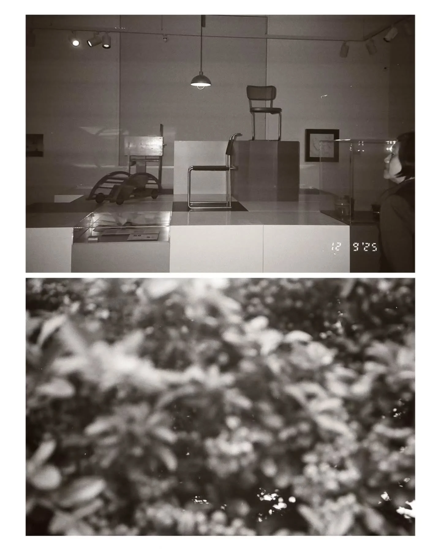 Amsterdam film 🎞 on 30+ years old camera. Inside and outside Stedelijk &amp; Rijksmuseum.

#35mm