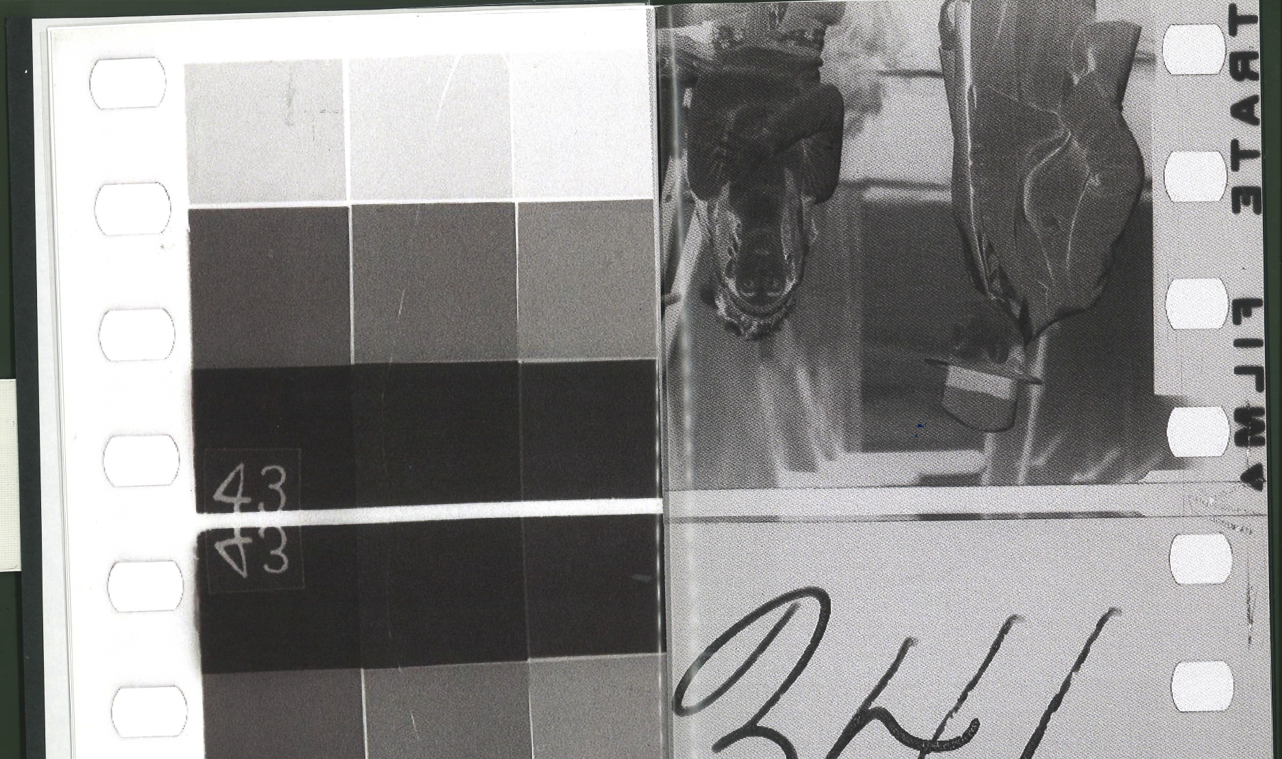 Nitrate Seizure: the Ephemeral History of Cinema