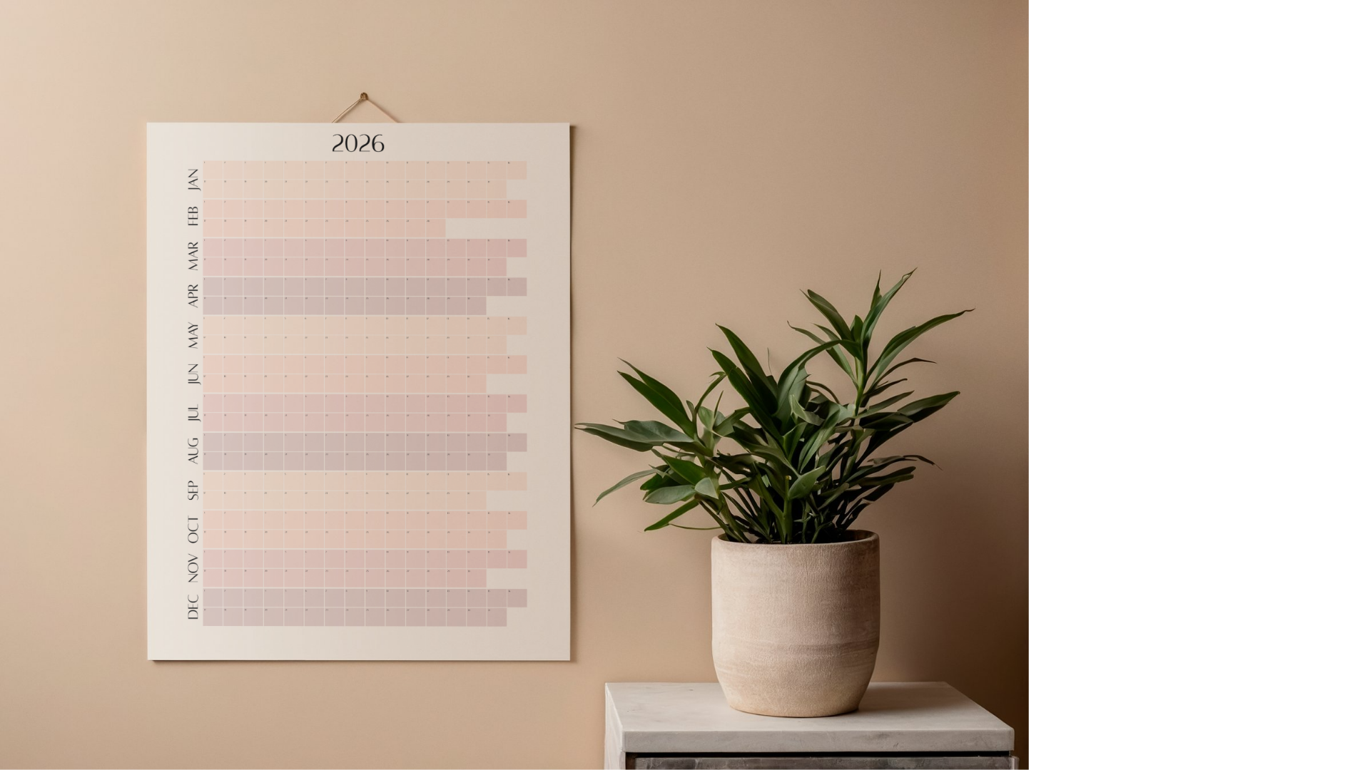 A wall calendar for 2026 with a gradient pink and purple heatmap, hanging on a beige wall, next to a green potted plant on a white table.