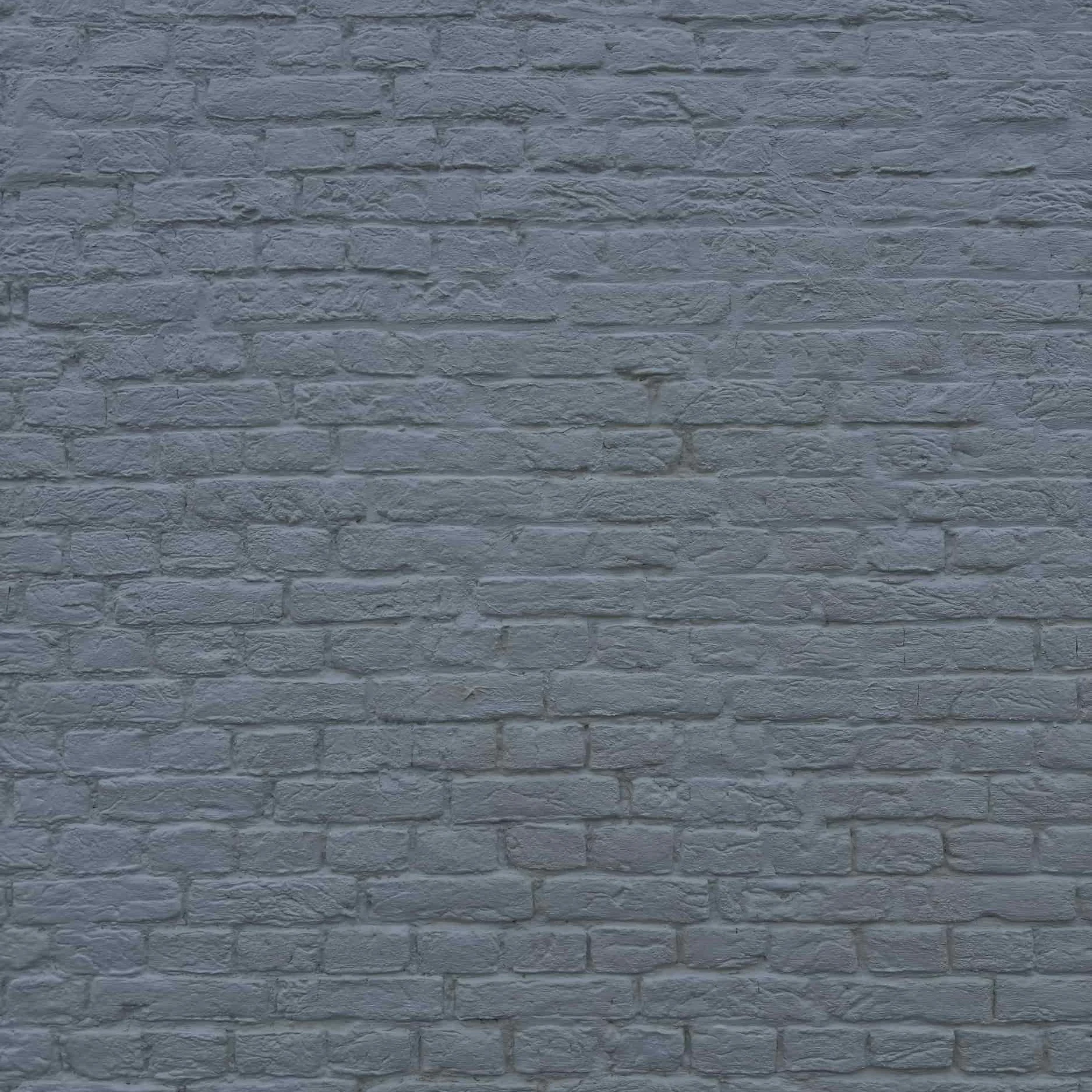 DIJKJES'-1.jpg
