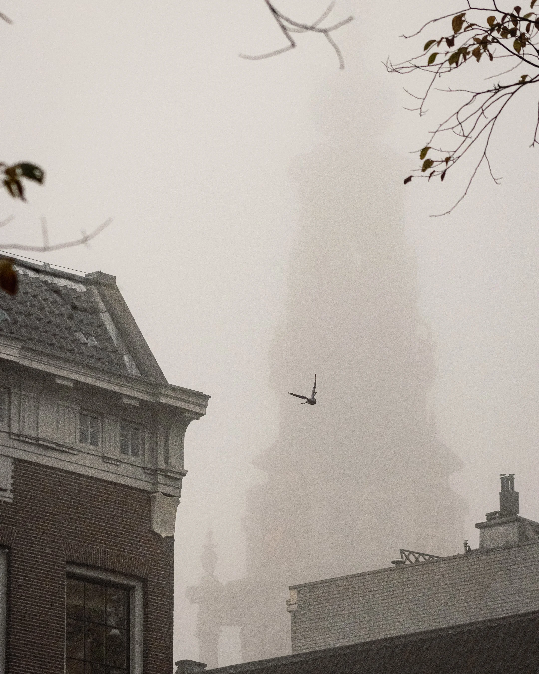 DIJKJES'-0967.jpg