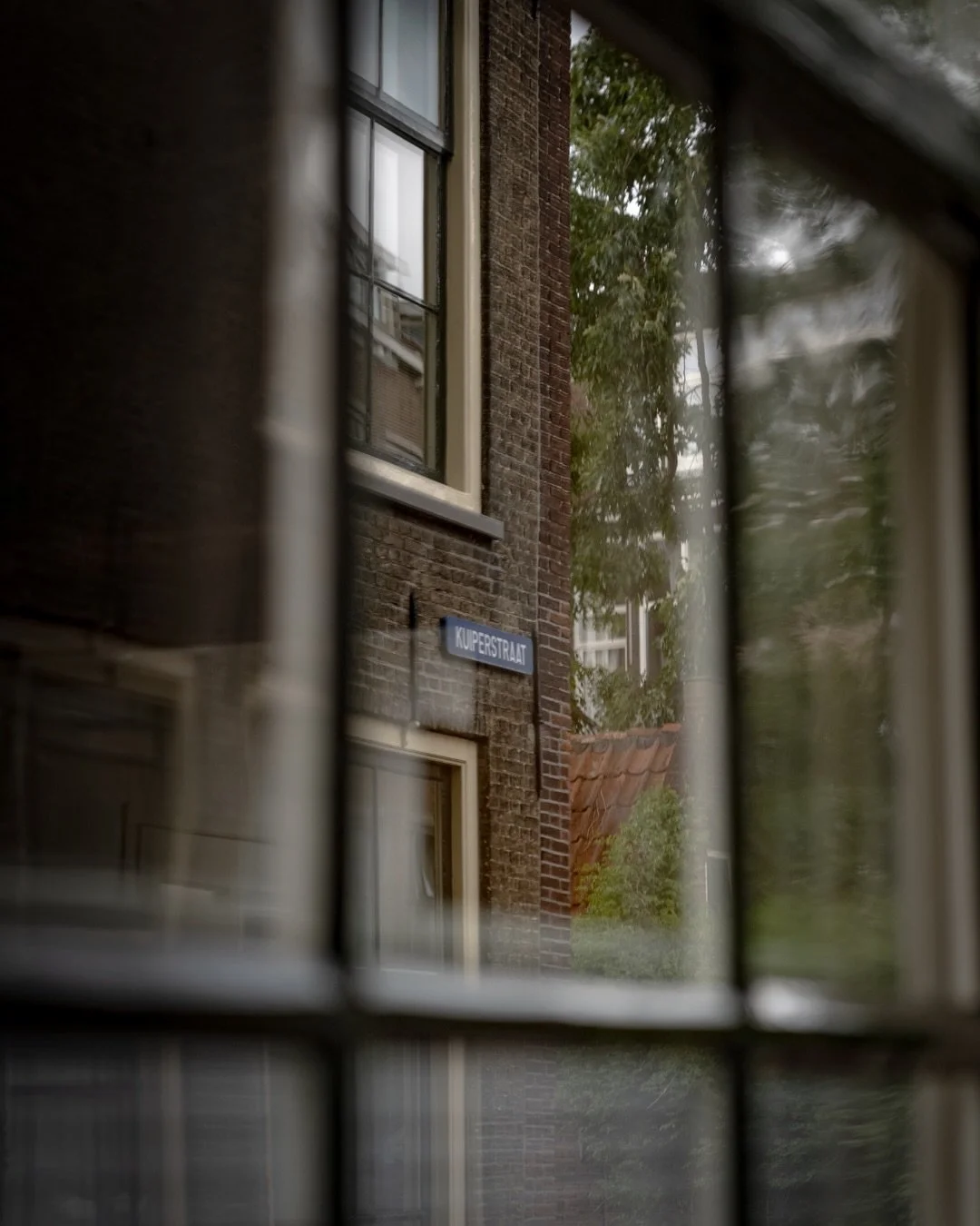 &lsquo;Window stories&rsquo;

Sony FX3 / Sigma 28 - 70mm F.2.8

It&rsquo;s been a while since our last upload. Glad to be back! We had lots of changes in the background during our off period. But all sorted now and ready for new adventures and upload