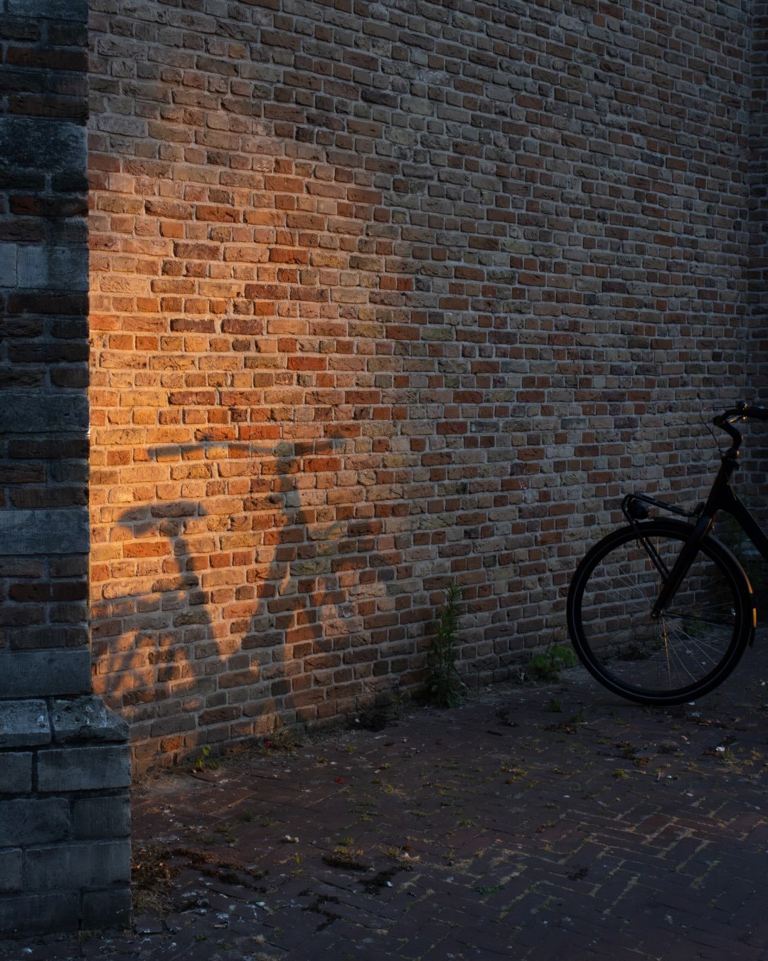 &lsquo;Dusk Alley&rsquo;

Canon 90D / EF18-55mm F4.0
Canon 90D / EF70-300mm F4.0
Sony FX3 / Sigma 28-70 F2.8

July 2026