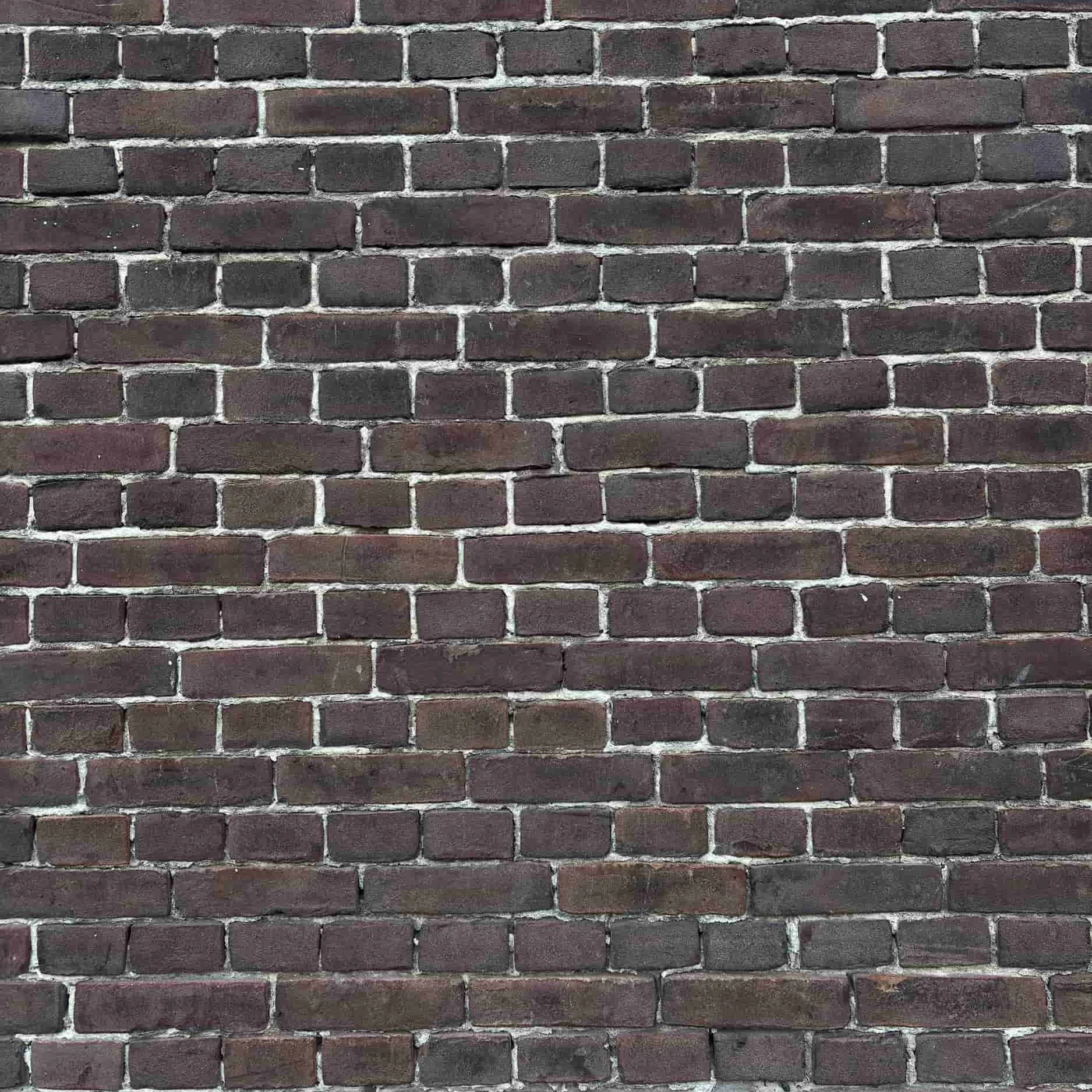 DIJKJES'--2.jpg