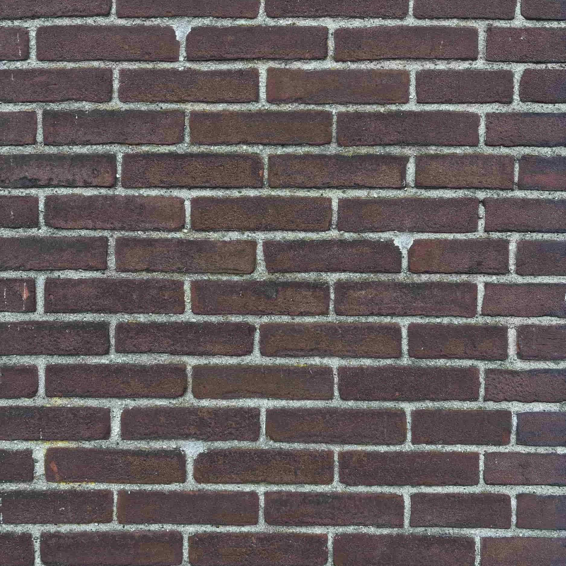 DIJKJES'-3.jpg