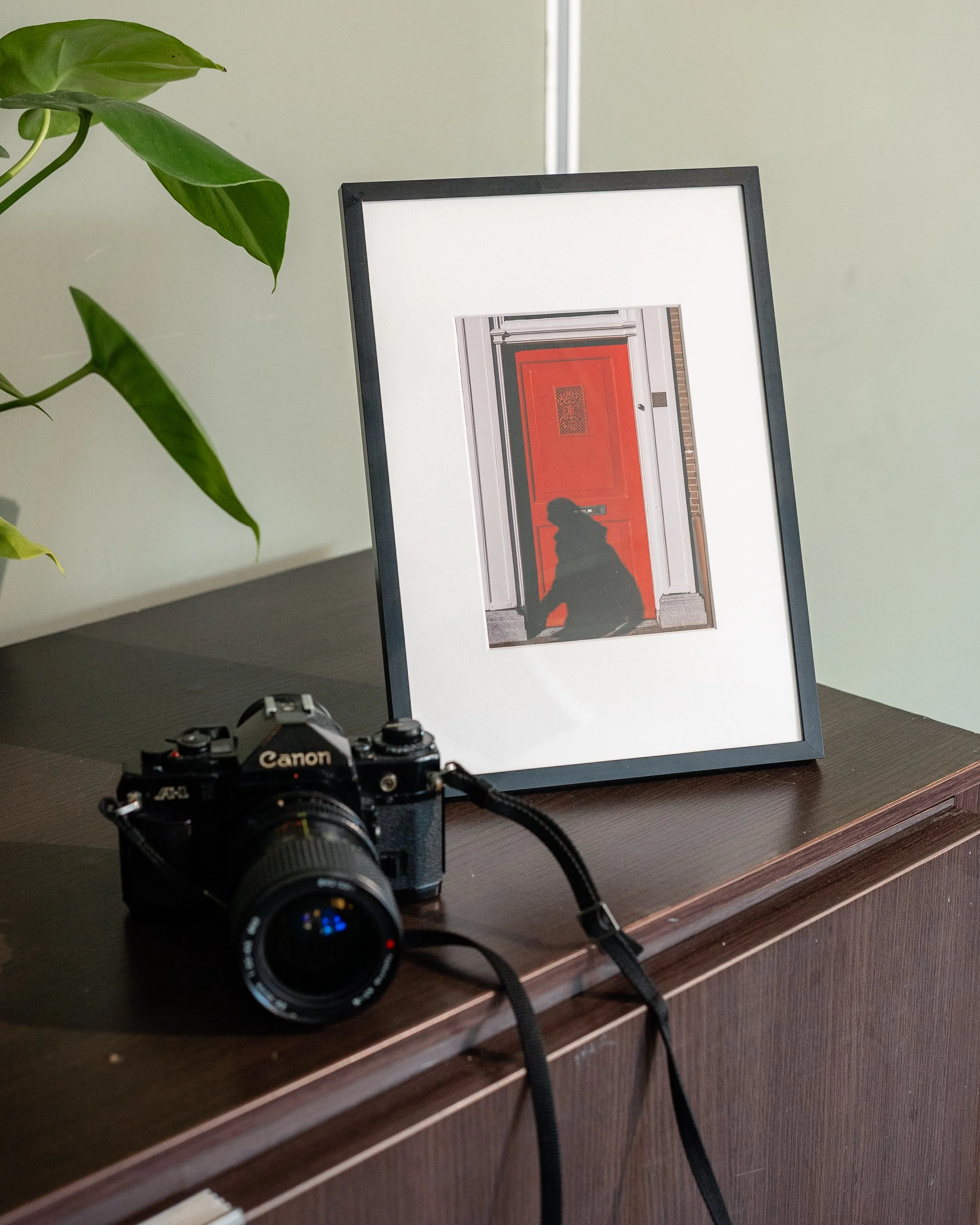 Een ouderwetse Canon camera en een ingelijste foto met een rode deur en schaduw op een tafel naast een groen bladplant.