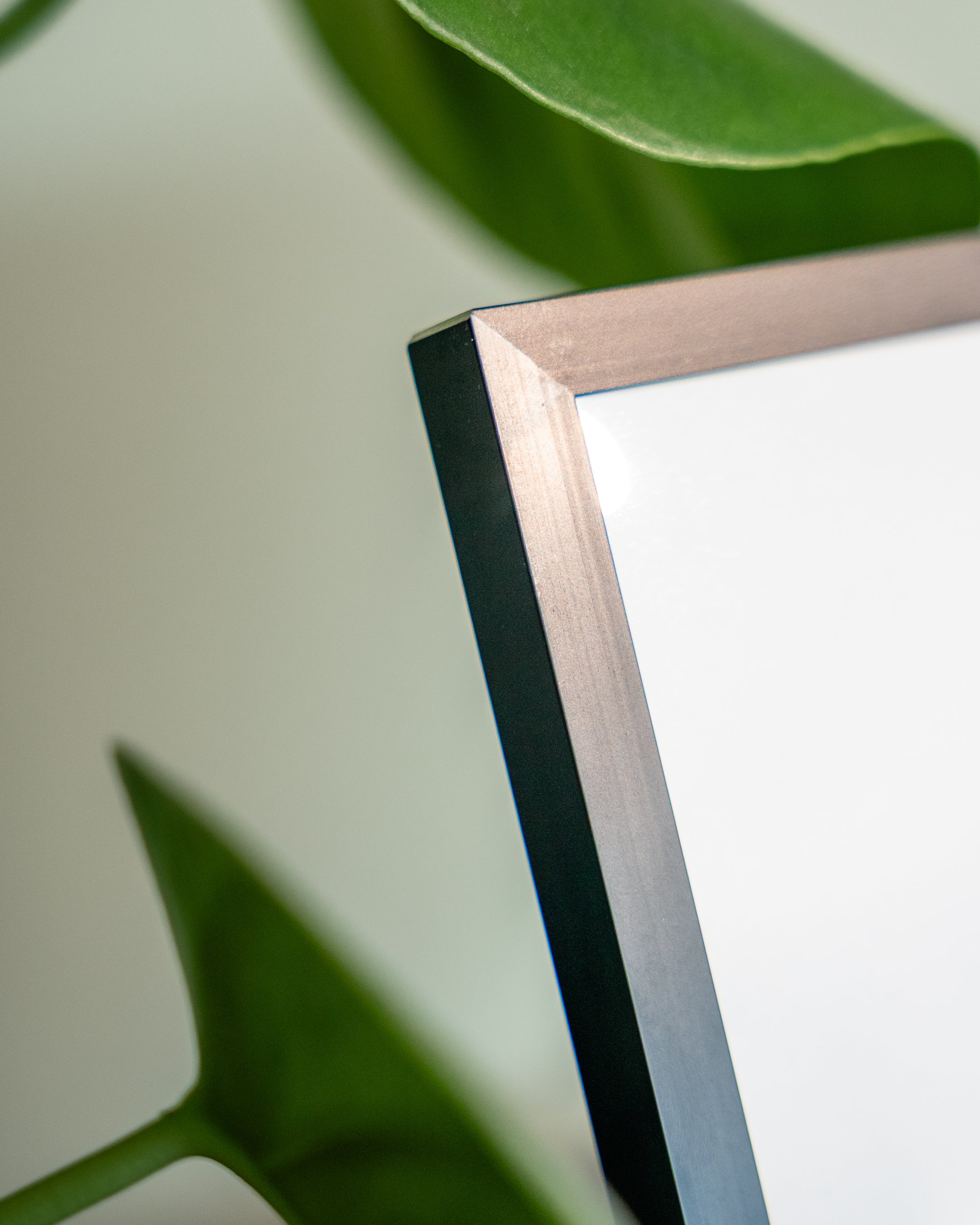 Hoek van een fotolijst met zwarte rand en een groene plant op de achtergrond.