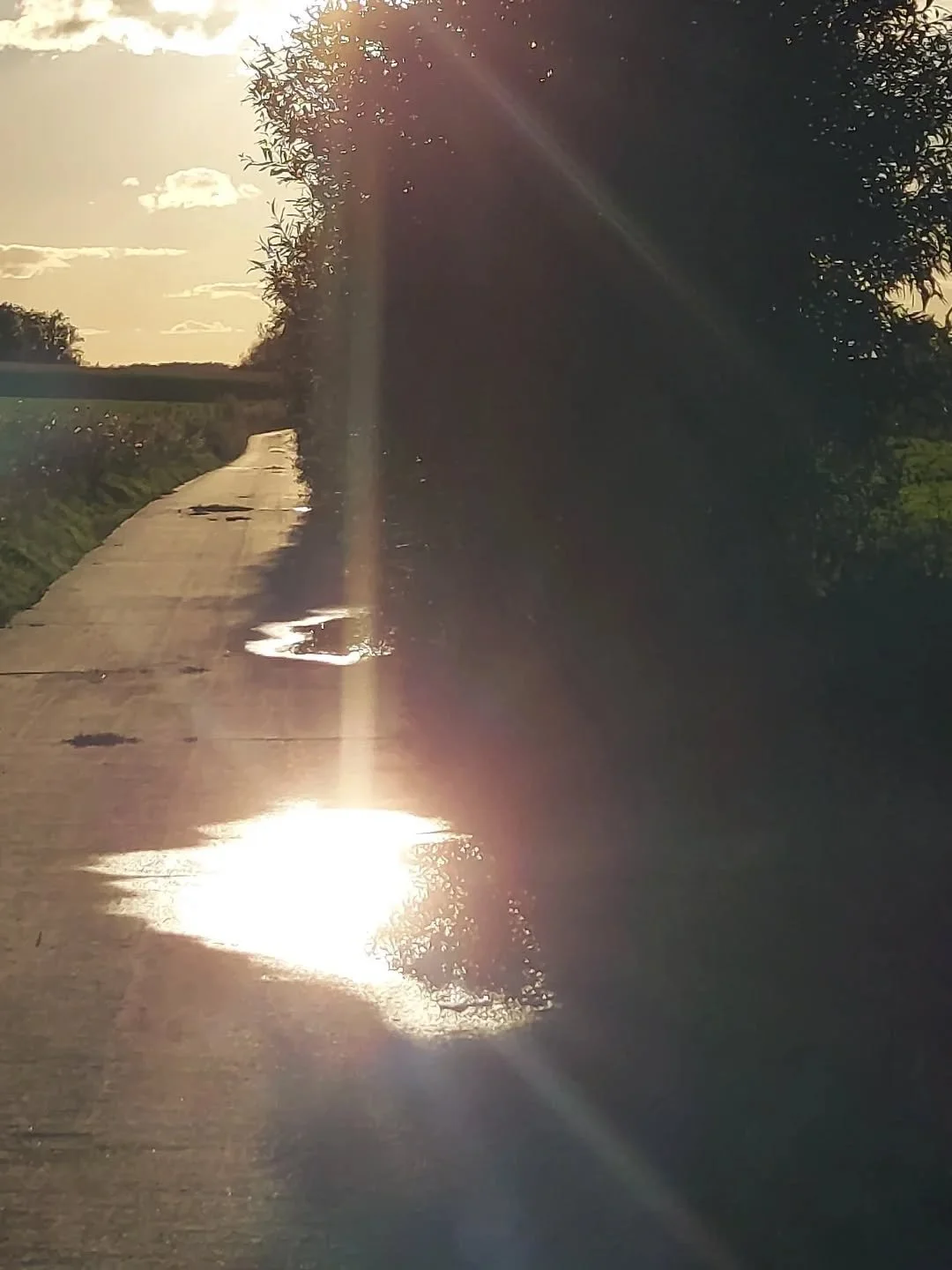 Some sunny vibes on this Full Moon in Leo with the Sun in Aquarius 🌕

(I have Sun in Leo and North Node in Aquarius 😉)

Today we dive into our ROOTS in Sunstudio ☀️
(Kundalini Yoga &mdash; part of the Golden Seeds membership)

Roots that connect us