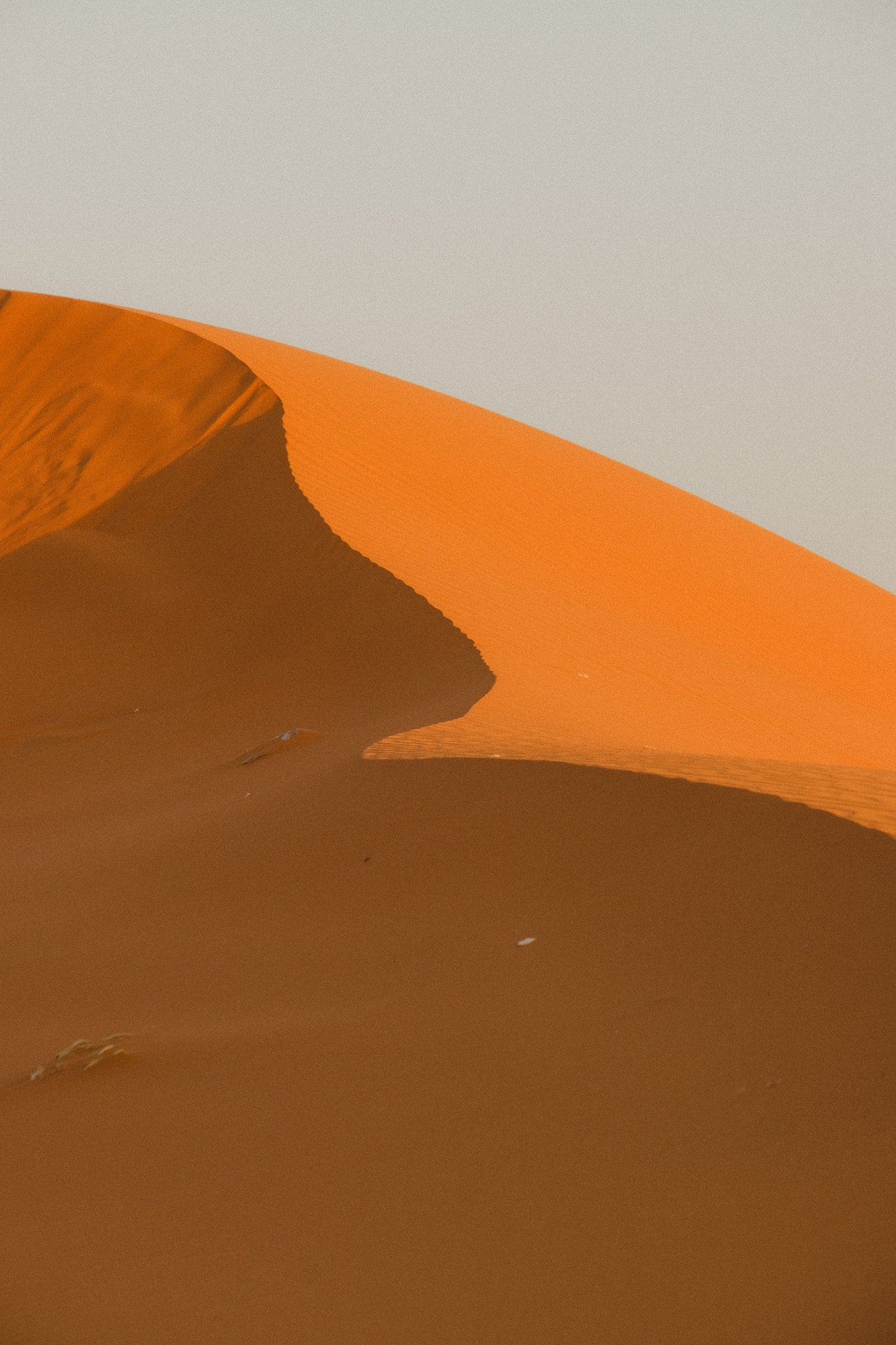 _DSF4033.jpg