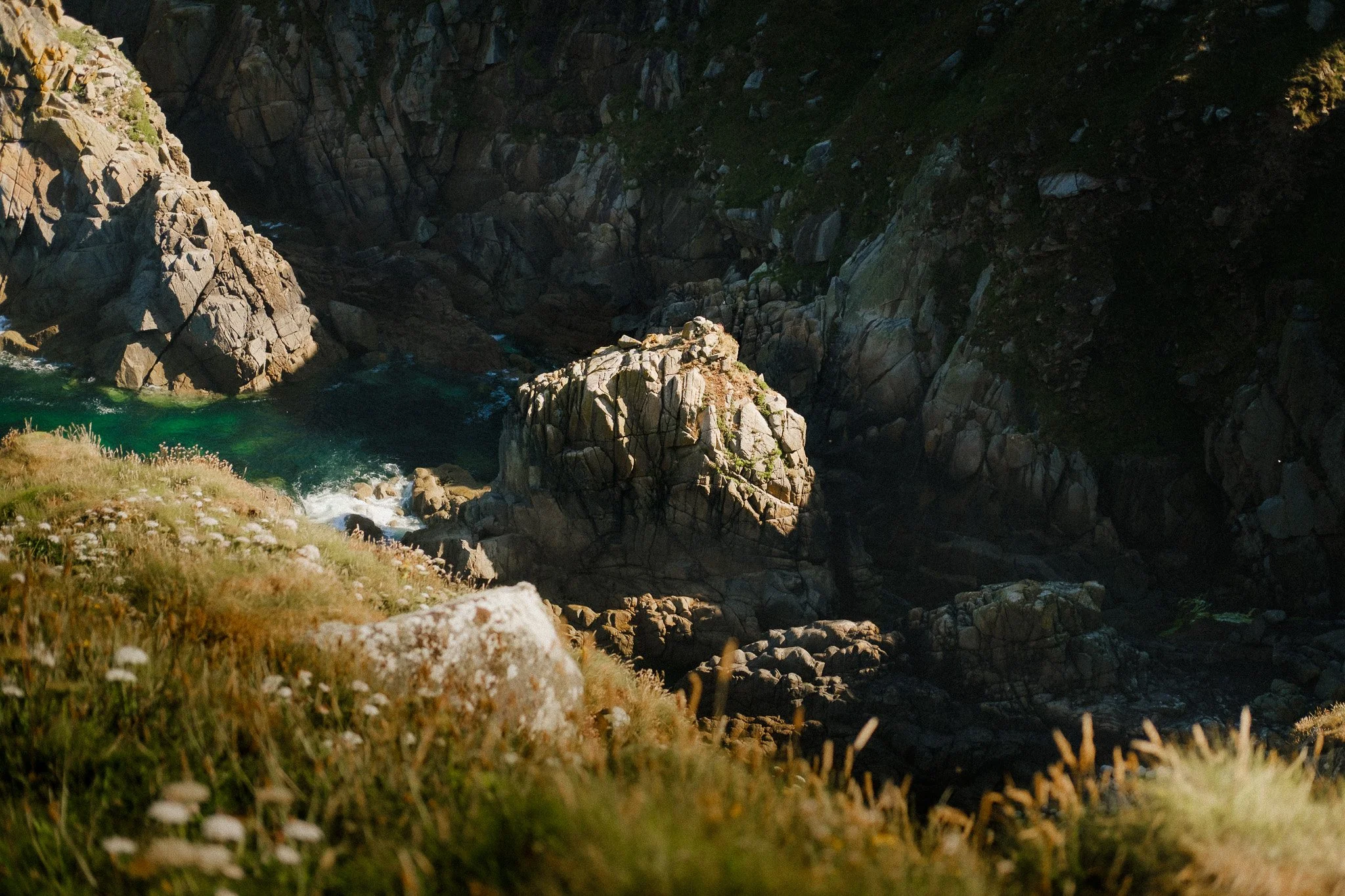 _DSF1454.jpg