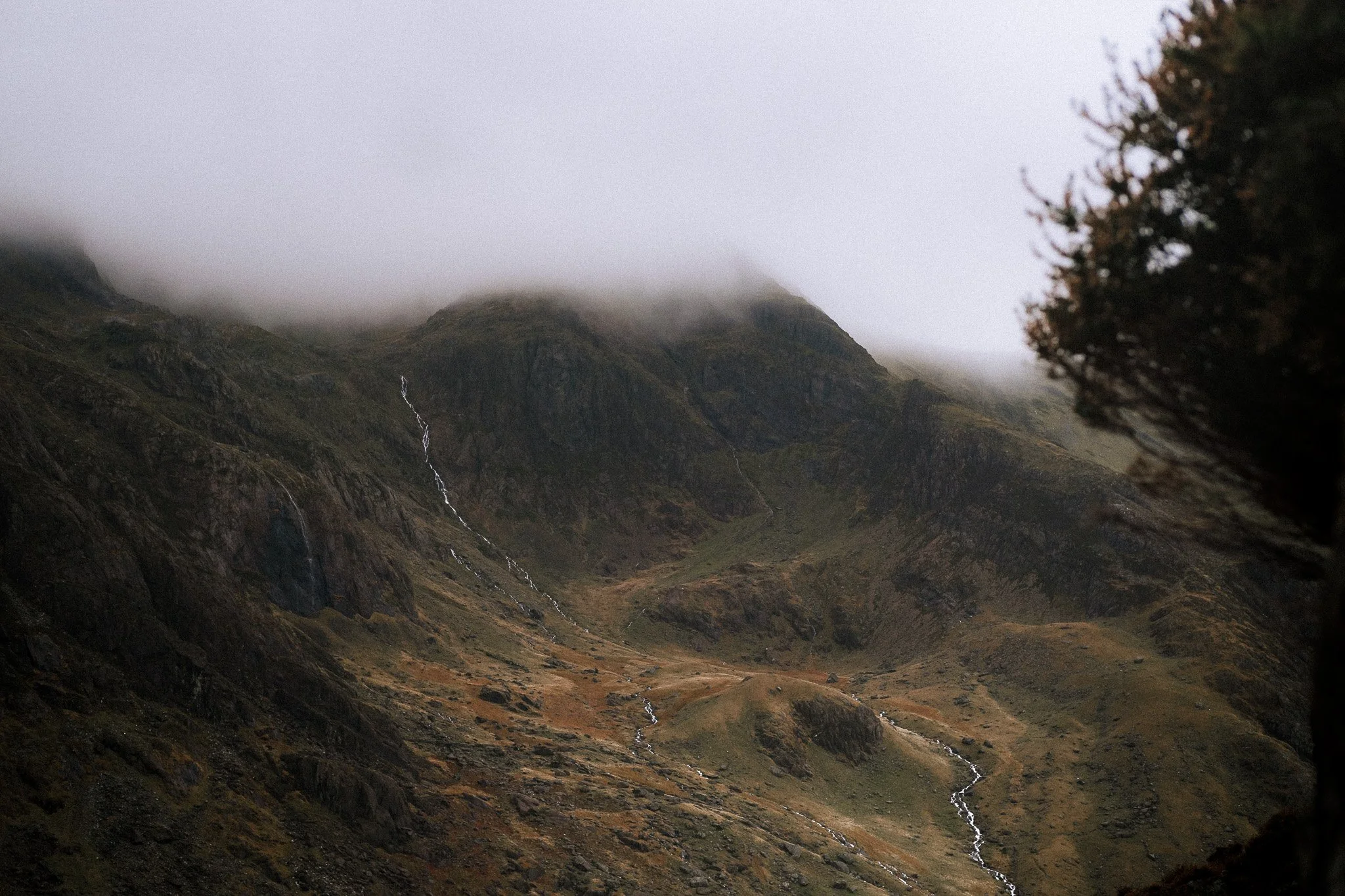DSCF6382.jpg