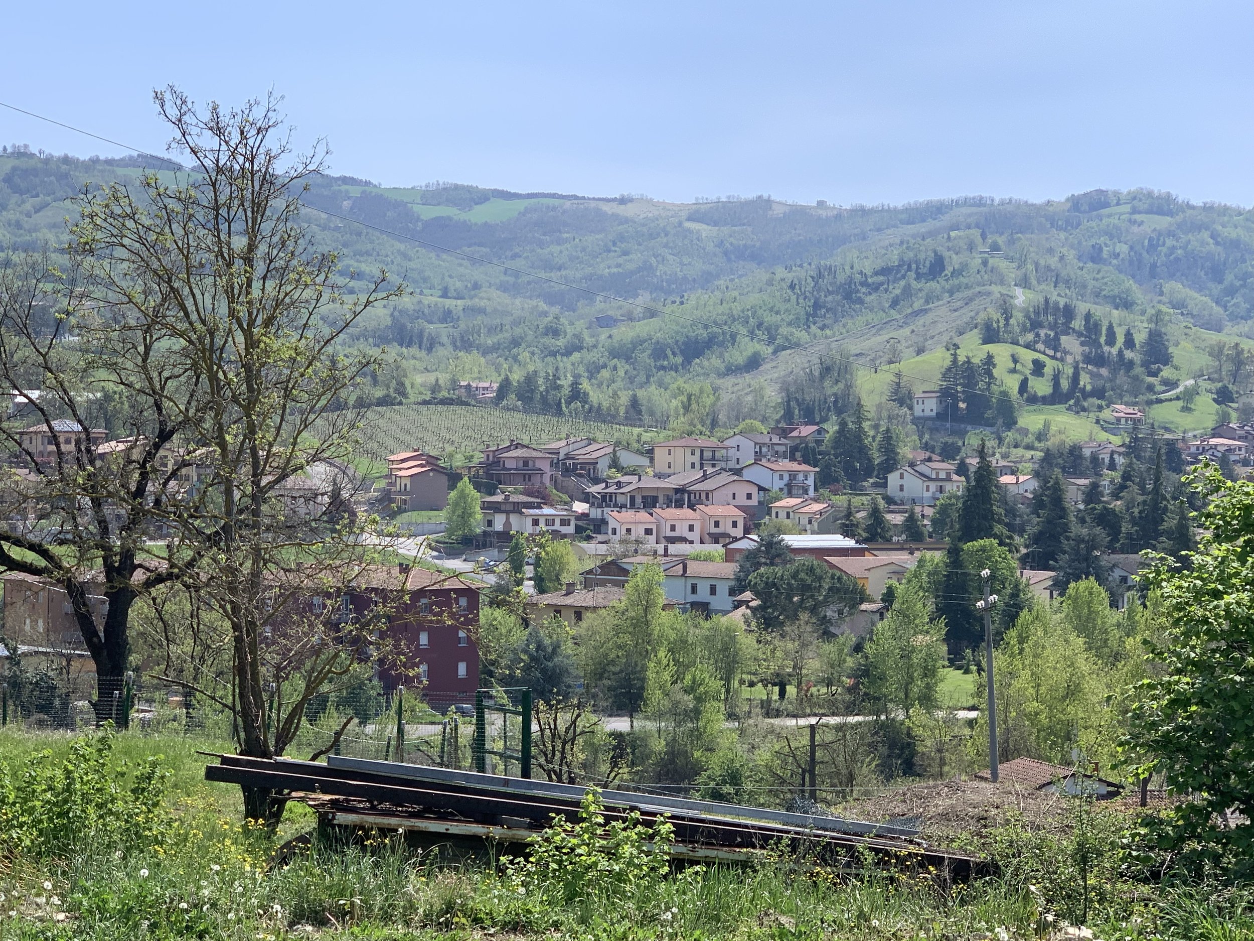 Vineyards on the hills above Florence.