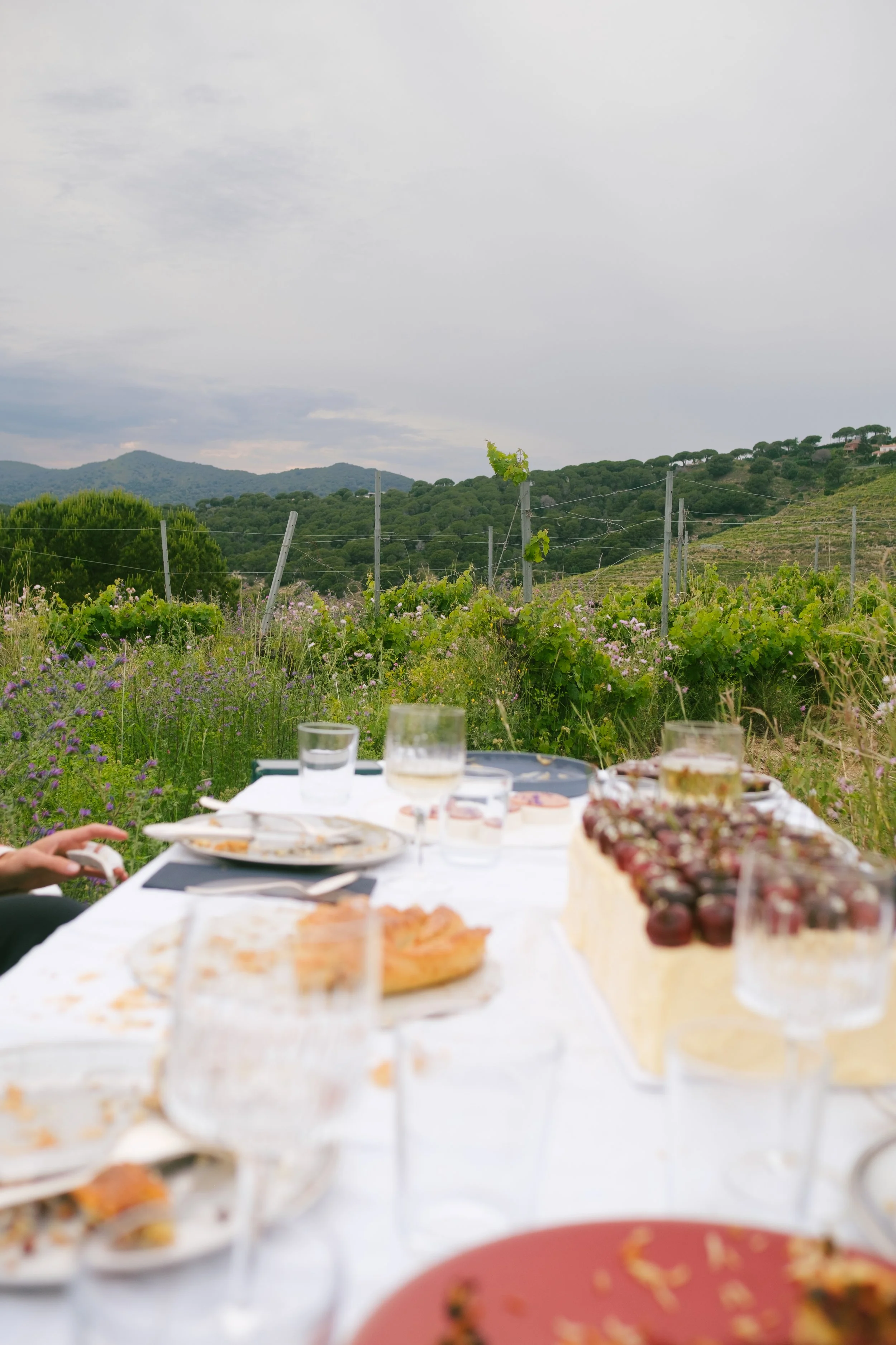 DSCF8623.jpg