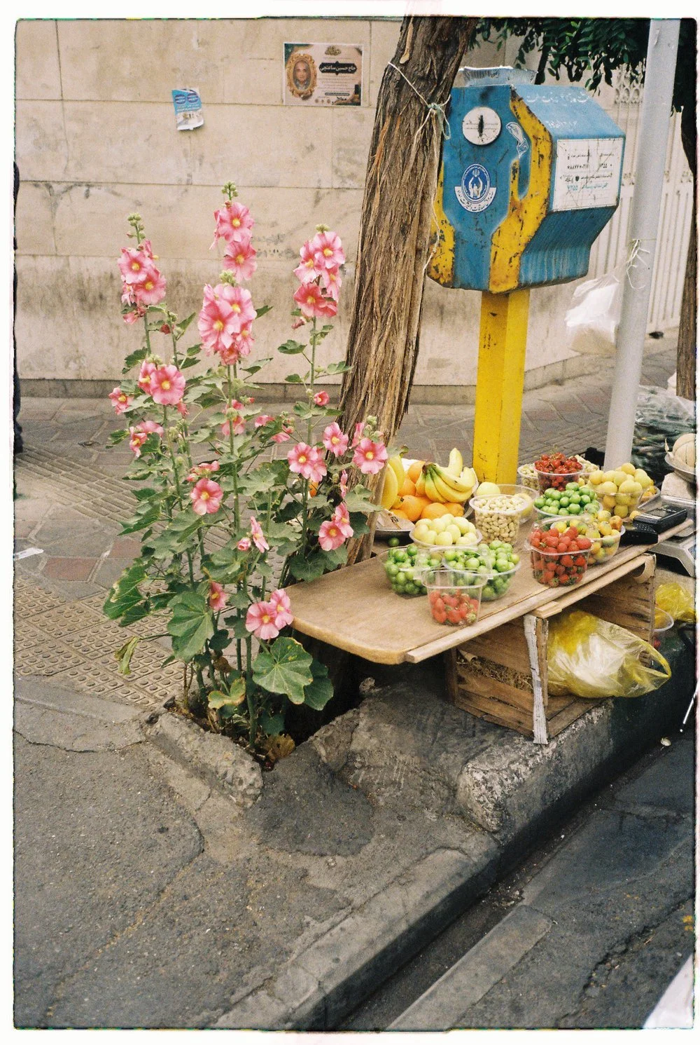 shabham_shabham-R2-058-27A (1).jpeg
