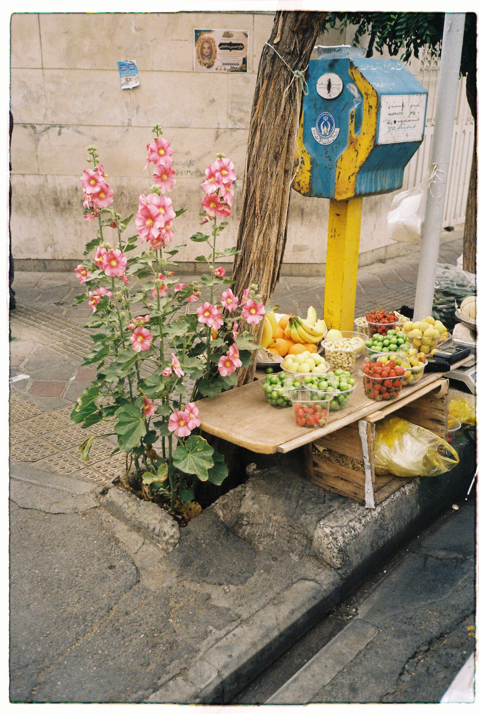 shabham_shabham-R2-058-27A.jpeg