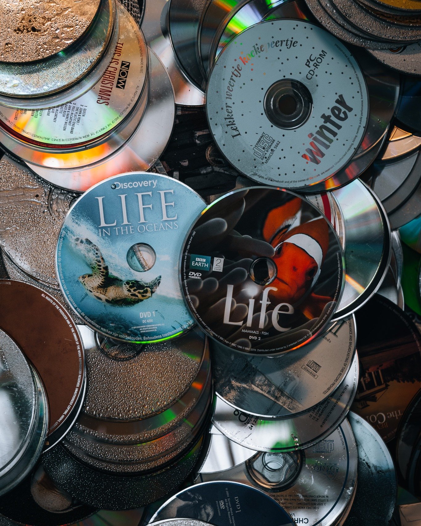 Als je goed kijkt naar deze foto dan valt het je op: afgedankte DVD's van mooie documentaires over hoe prachtig onze aarde is 🌍

En ja, wij vinden ook dat we goed moeten zorgen voor onze planeet. Want we hebben er maar &eacute;&eacute;n. Natuurlijk 