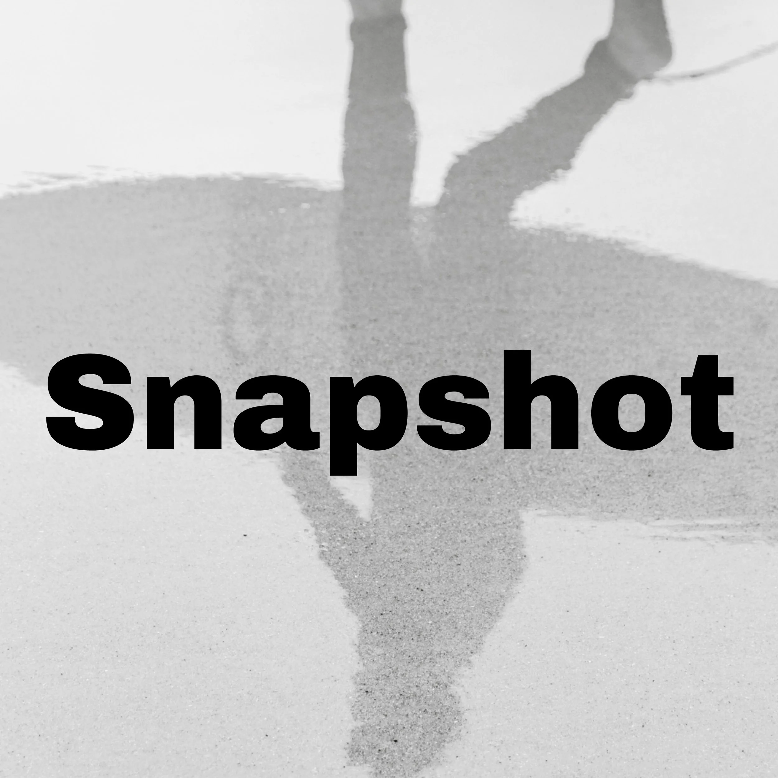 Snapshot