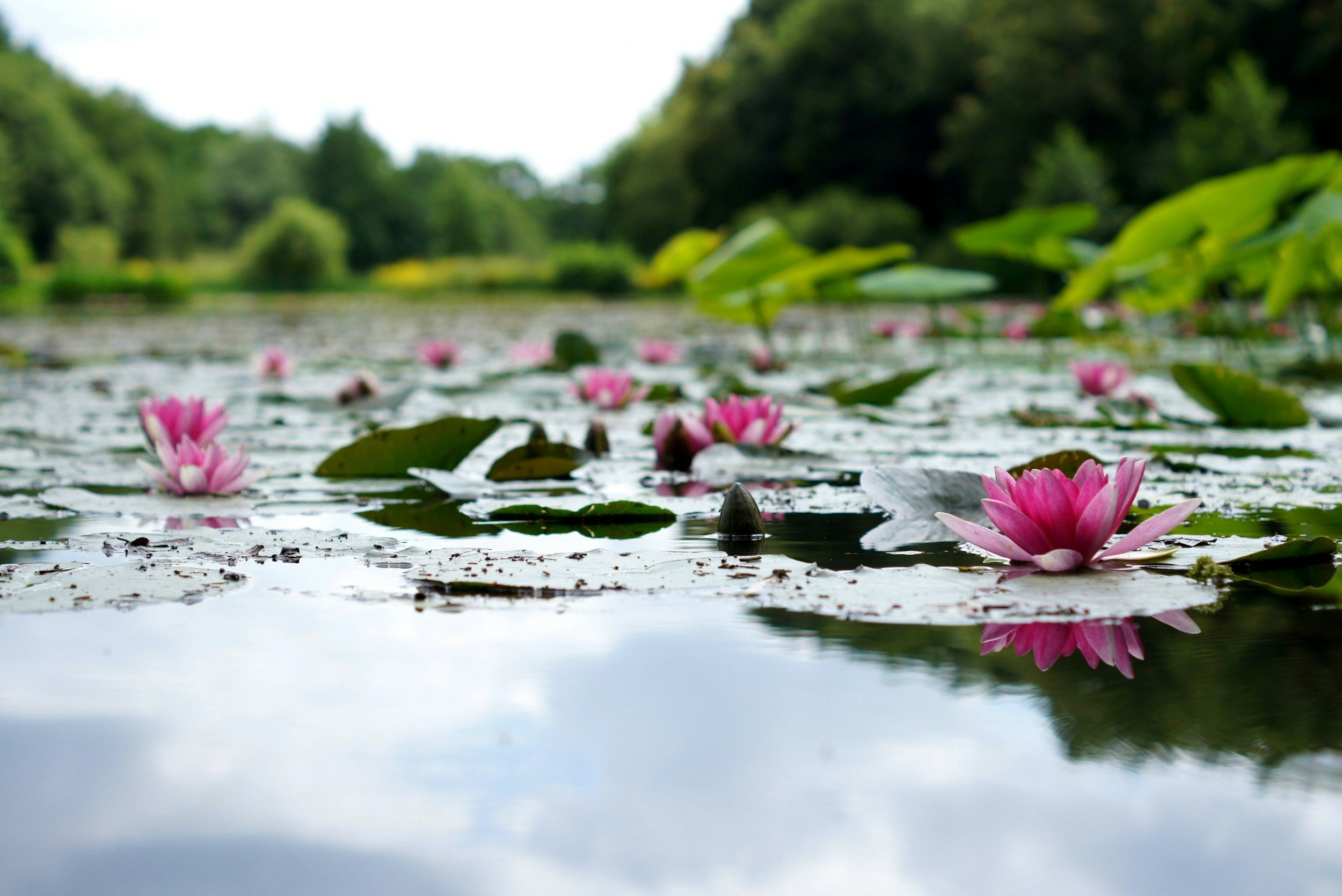 Retreat for Moms Parenting Children with Disabilities