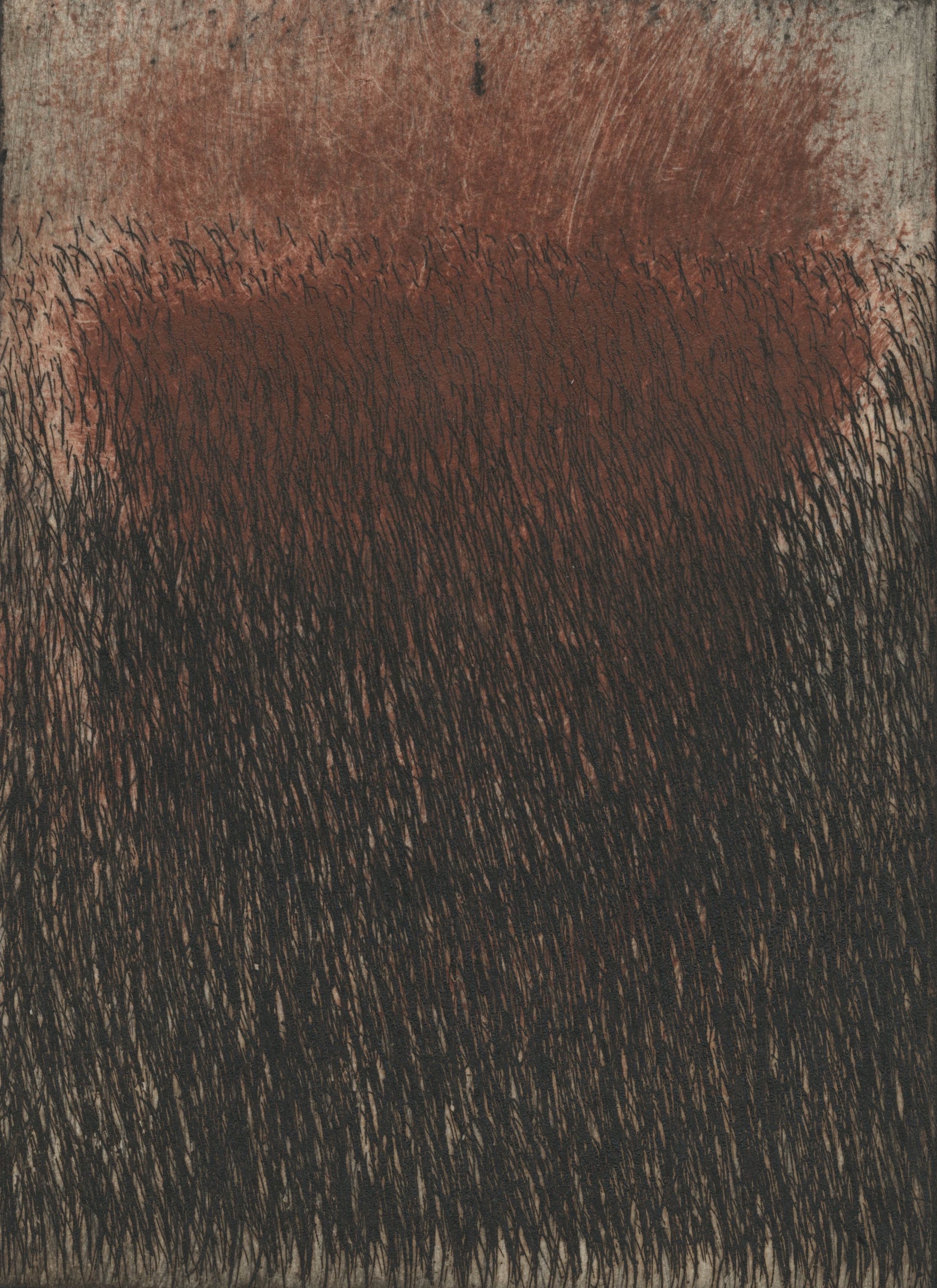 Field 34.jpg