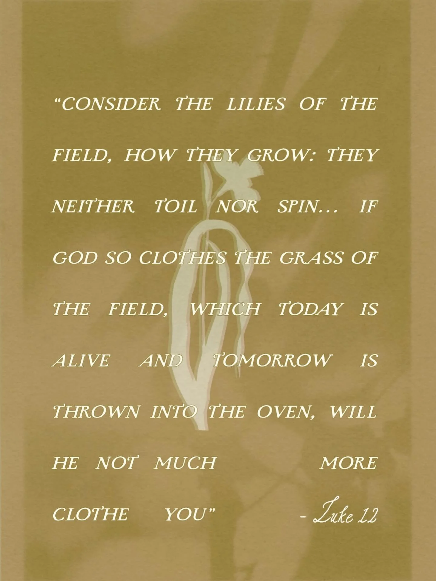 Inspired by the Bible verse Luke 12:27, this collection is a tribute to a life lived in full, colorful bloom. 

In this passage, Jesus points to the lilies of the field &mdash; flowers that do not toil or strive, yet are clothed in beauty more magnif