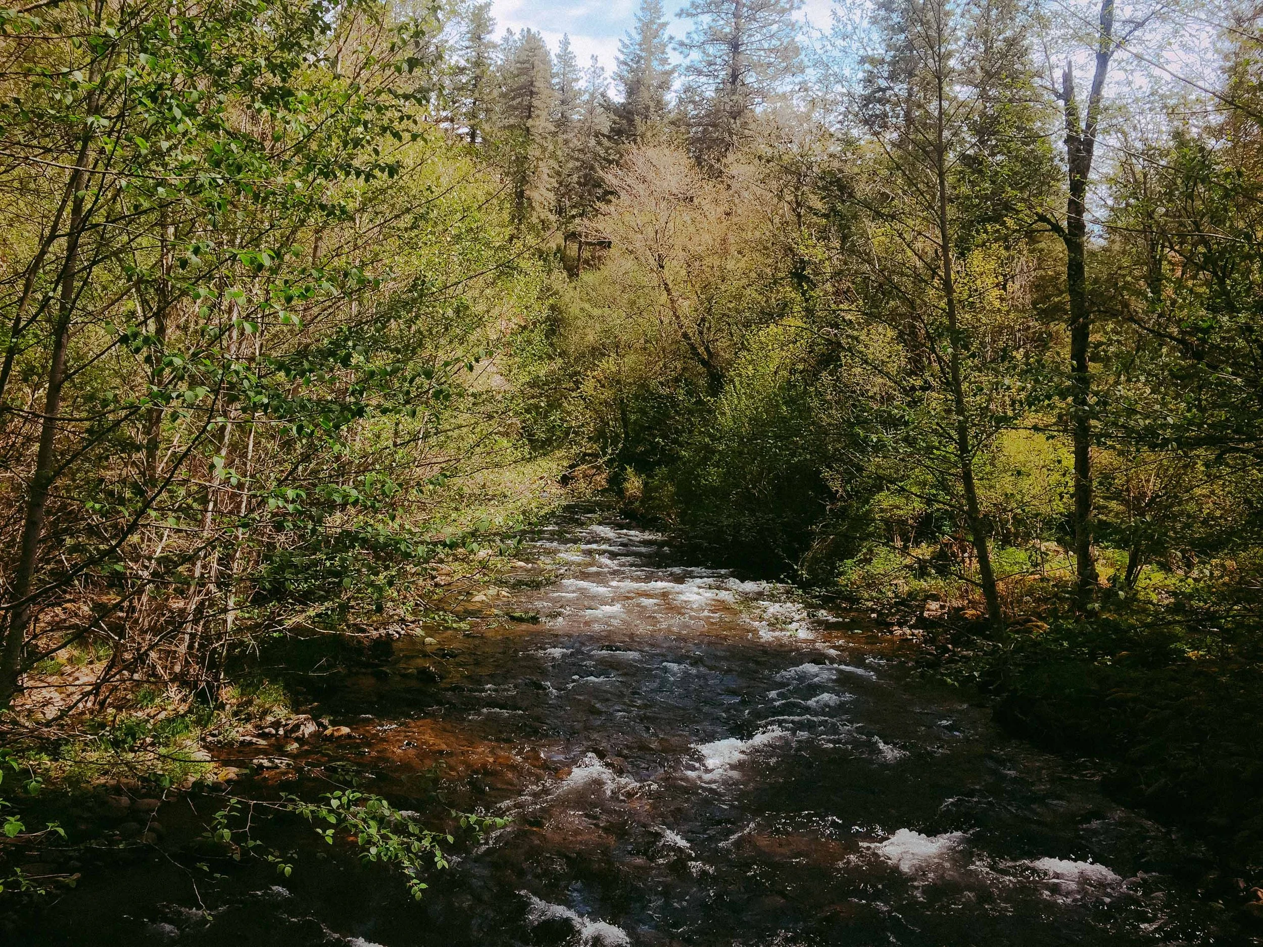 soulstream-web-02.jpg