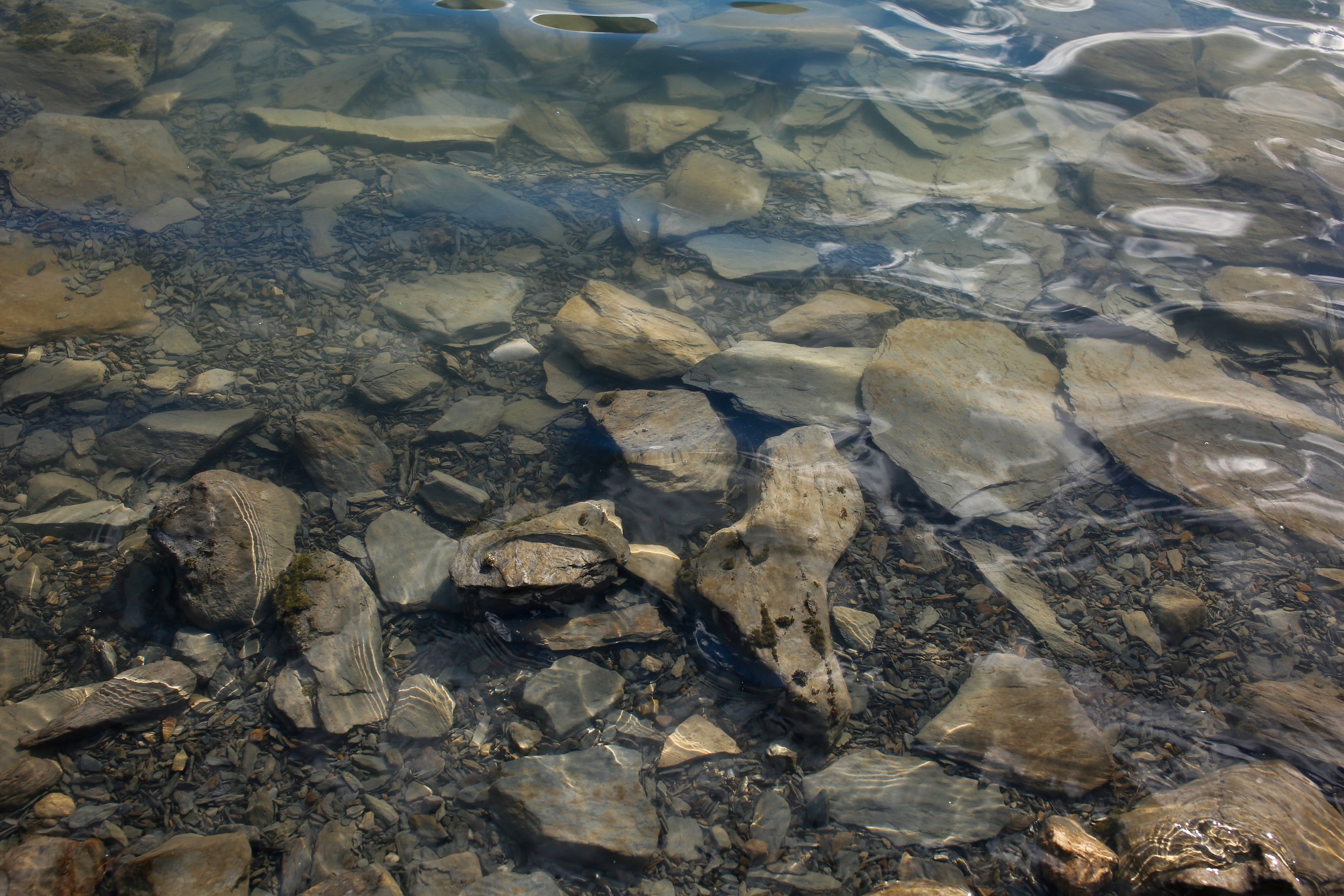 _E8A0574.jpg