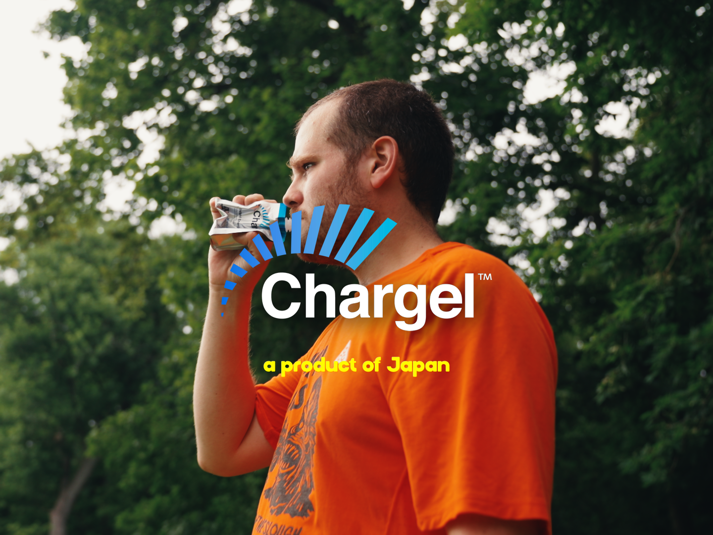 Chargel