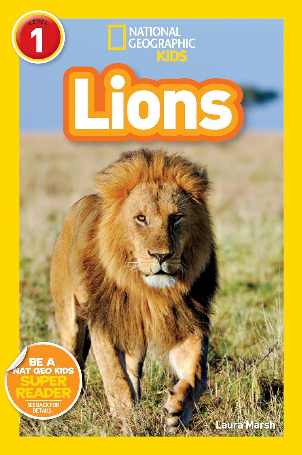 Lions.jpeg