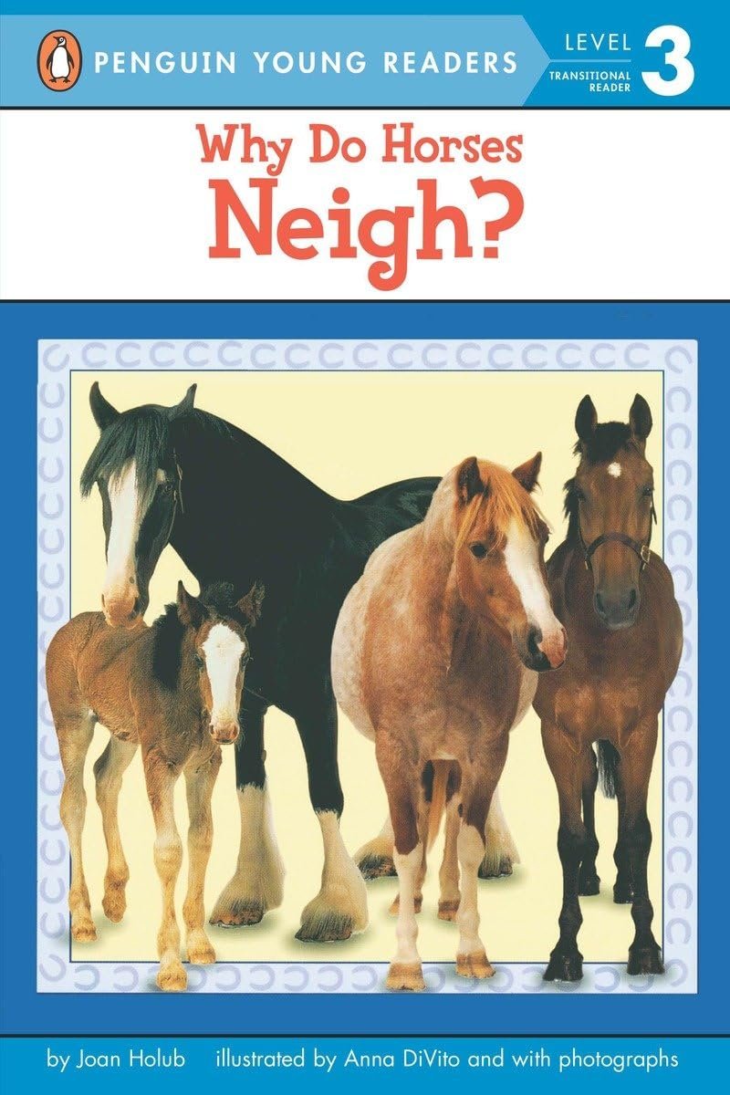 Why Do Horses Neigh.jpeg