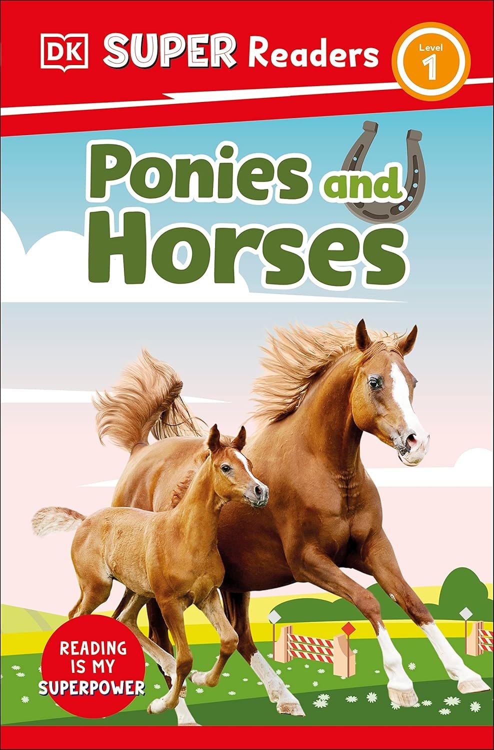 Ponies and Horses.jpeg