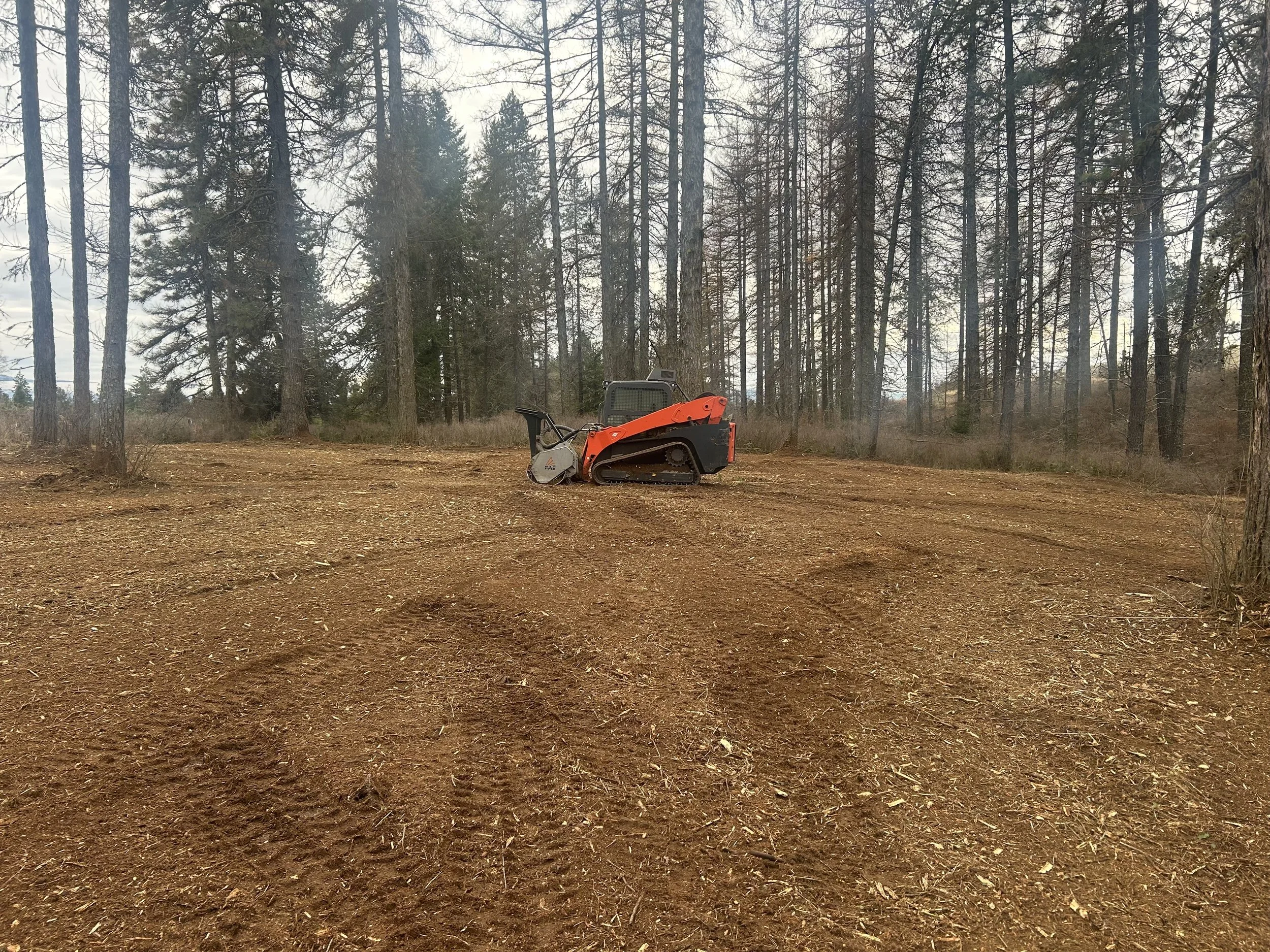 RS6.jpg