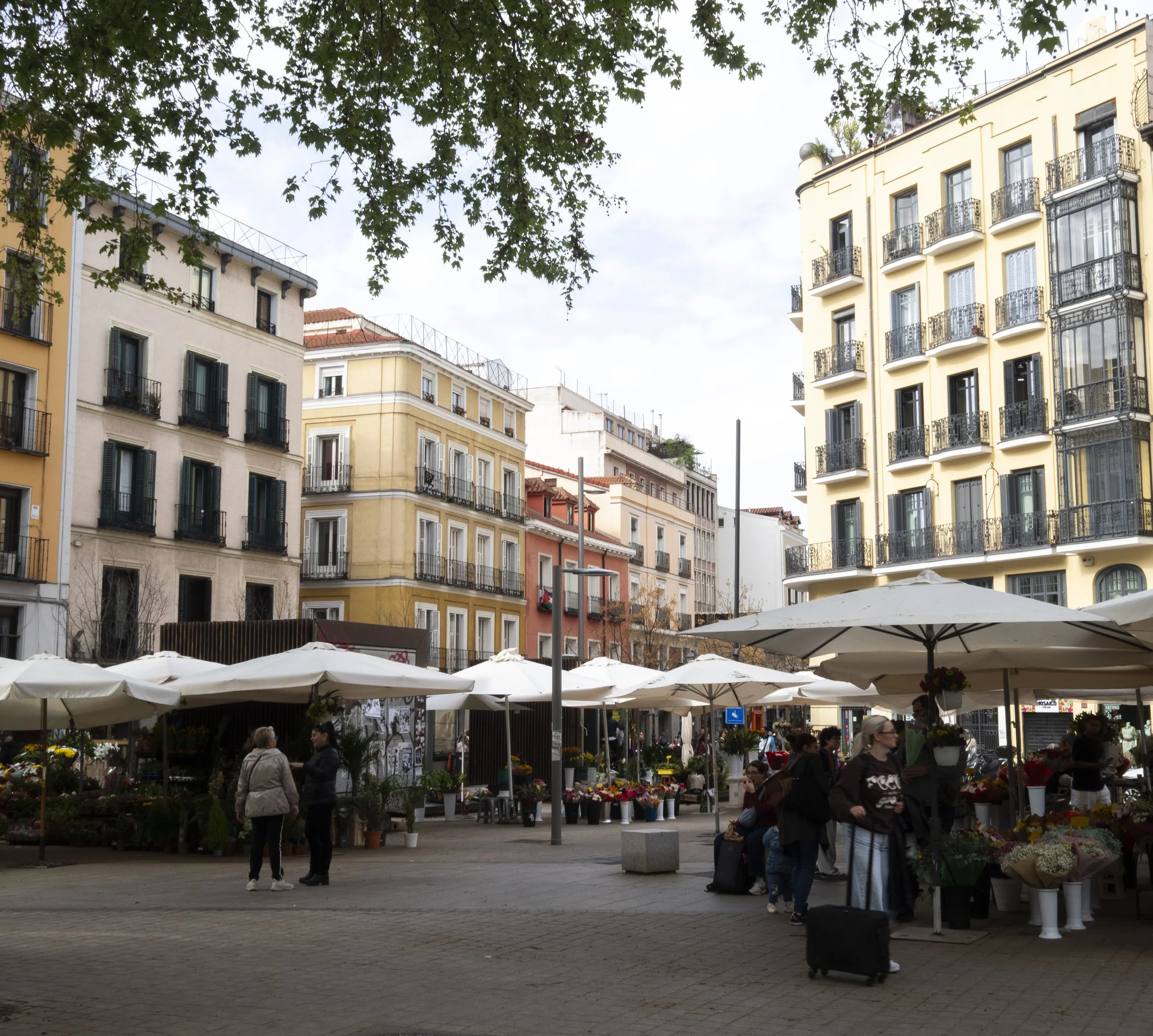 1. Madrid-17.jpg