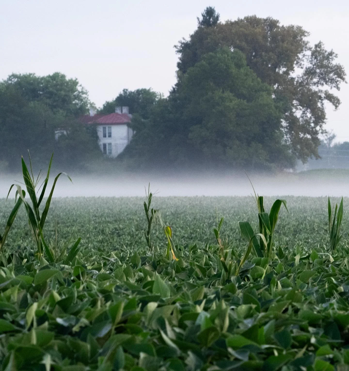 A special post! I&rsquo;m 23 today, thanks for all the birthday wishes! Here are four photos I&rsquo;ve taken over the past few months that I haven&rsquo;t posted but still enjoy looking at. Each make me feel content and each for a completely differe