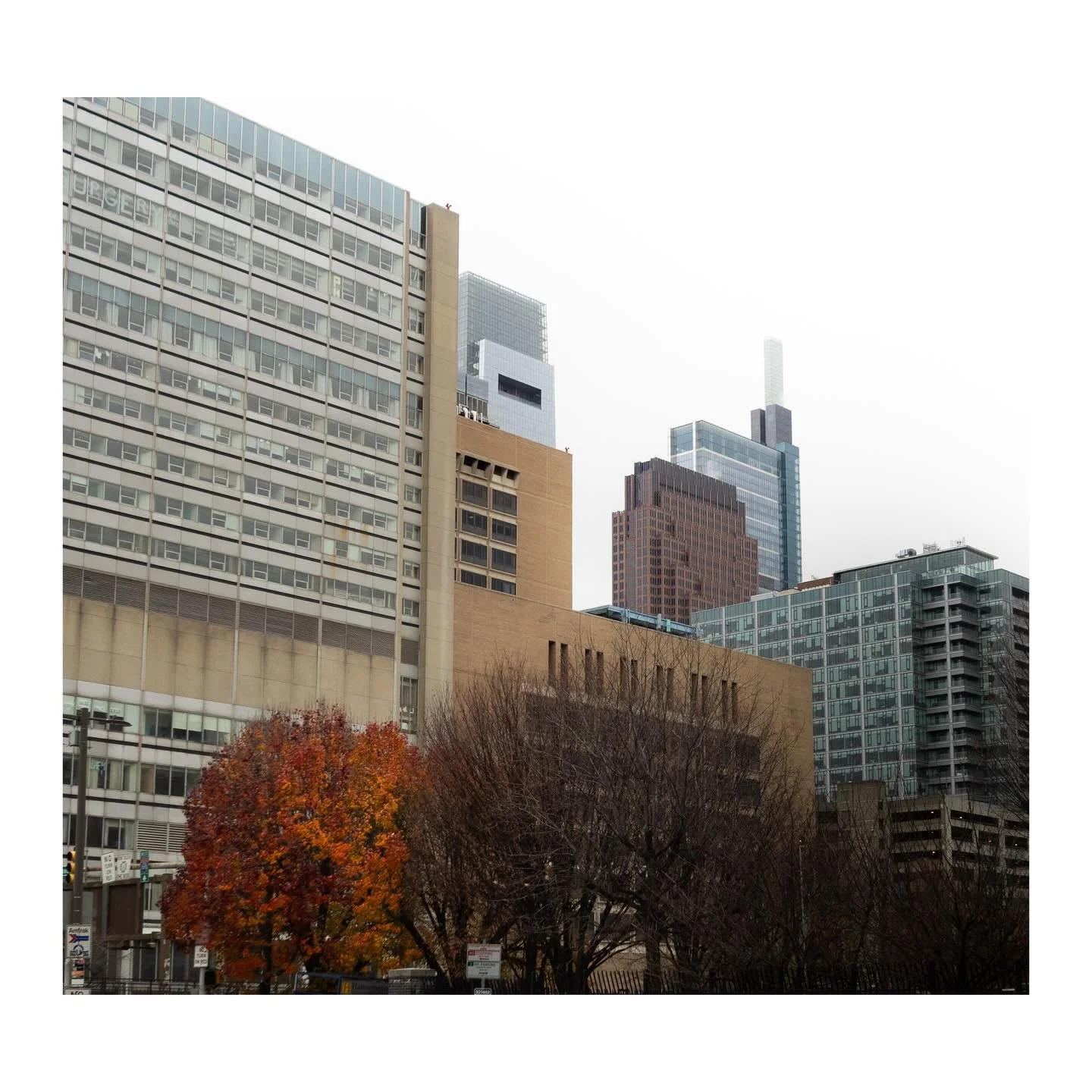 Philadelphia, End of Autumn 
-
#philly #philadelphia #autumn #fall #city #skyline #street #photography #photo #om #olympus #camera #leaves #tree