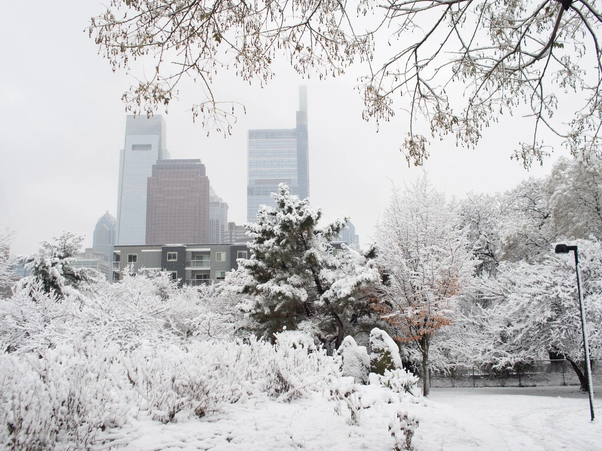 Some snowy photos from today in Philadelphia-
-
#Snow #Philadelphia #PA #City #Philly #Photo #Camera #Photography #Landscape #Macro #Color #White @Composition