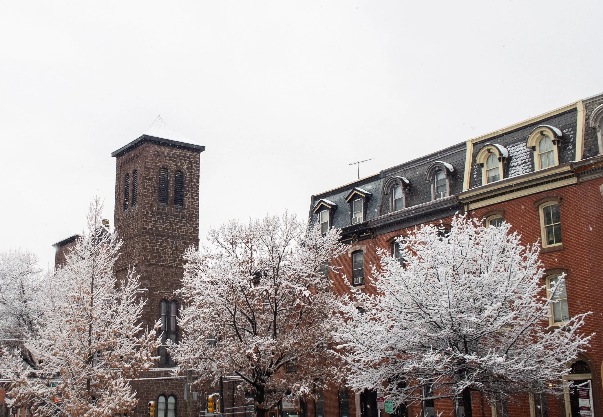 White Trees 
- 
#Philly #Winter #Snow #Philadelphia #SpringGarden #Fairmount #Trees #Phila #Photog #Photography #Photo #Landscape #House #Snowing #Church #Sky #December