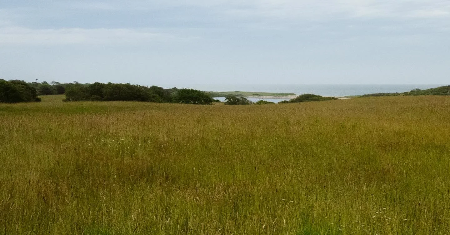 Seven days to 2026! Merry Christmas 🎄 a Landscape from Martha&rsquo;s Vineyard this summer. 
-
#landscape #photography #photo #summer #marthasvineyard