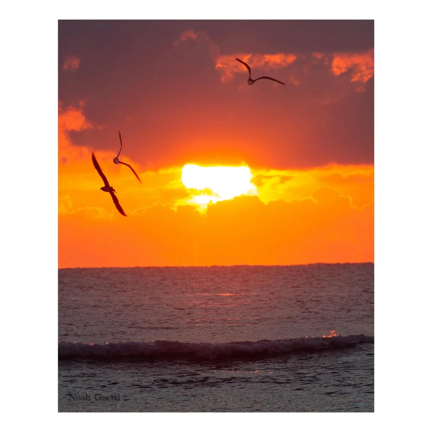 Three Soaring Birds on the Rising Sun 
-
#sunrise #mexico #photo #beach