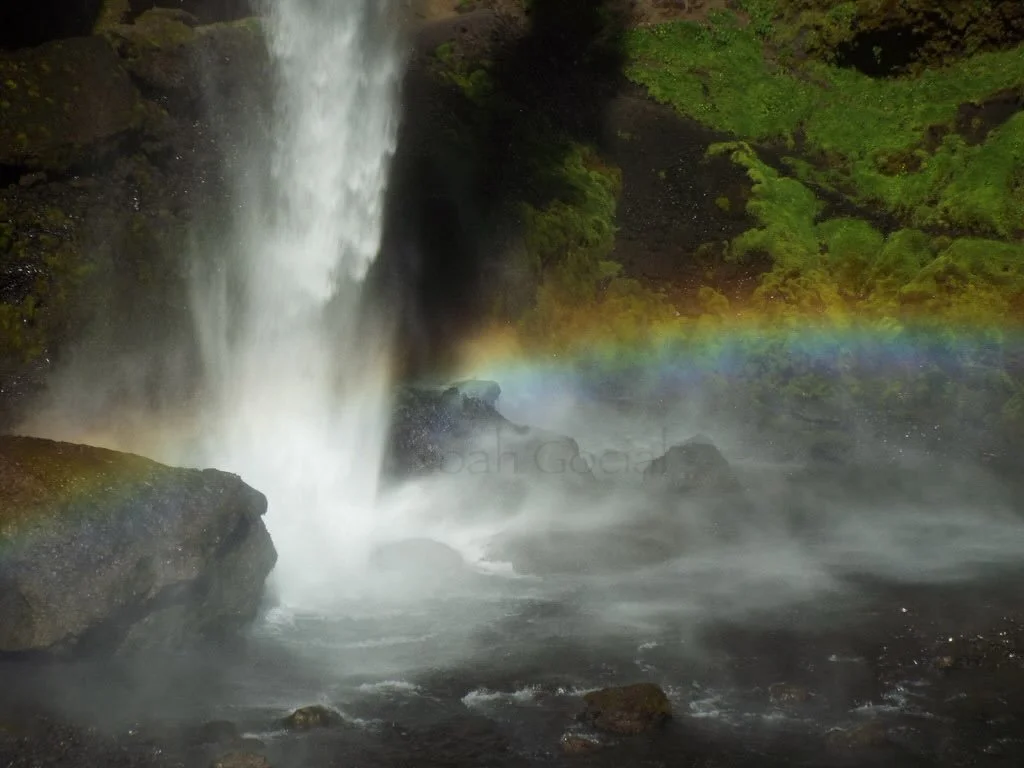 Every so often I&rsquo;ll go into my Iceland photos (2019) and dig something up. This was the first photo I took&mdash;though if you asked me what ISO was I wouldn&rsquo;t have been able to say&mdash;that I truly fell in love with. It took another fe