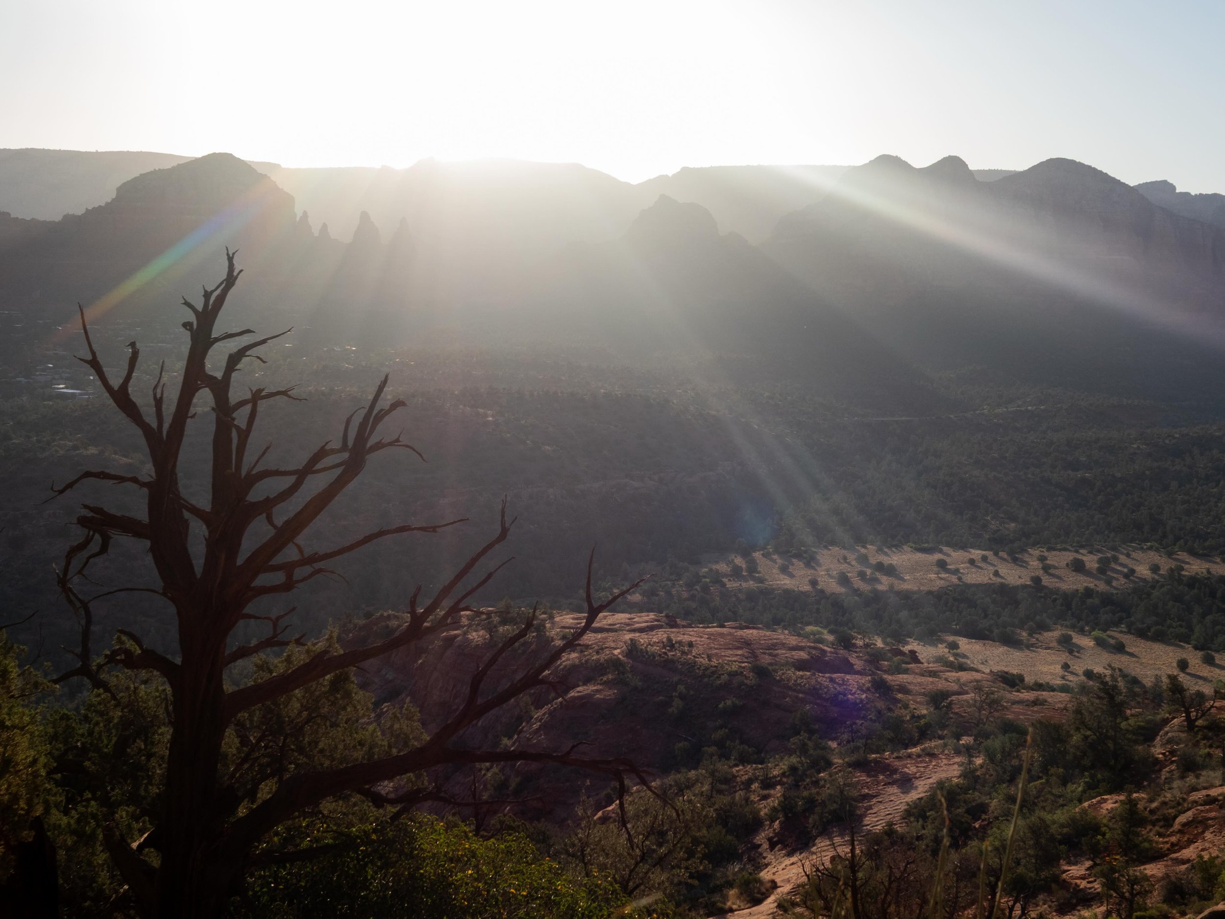 A Use of Light at Cathedral Rock
-
#Photography #Light #Sedona #Landscape #CathedralRock