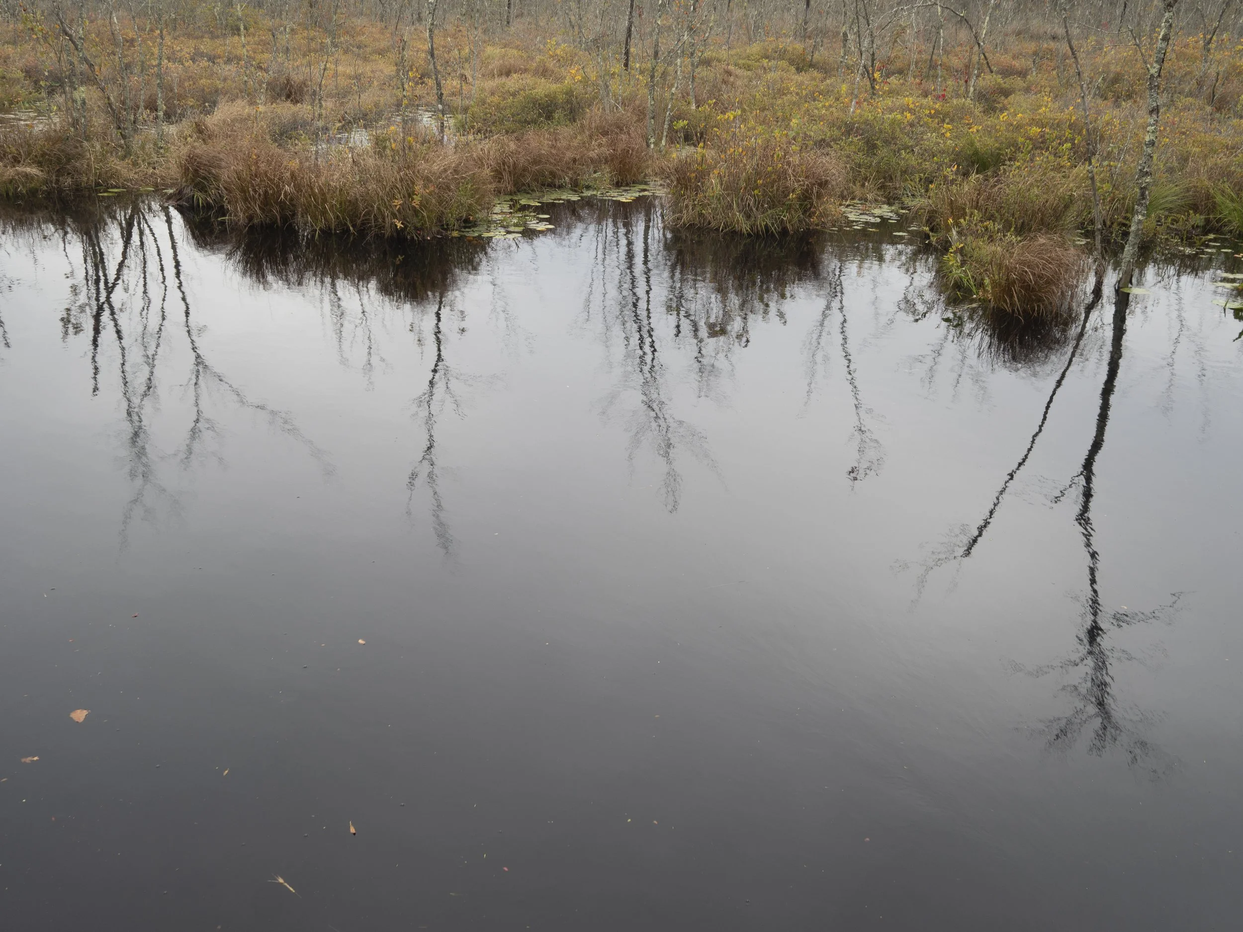 Reflections 3.