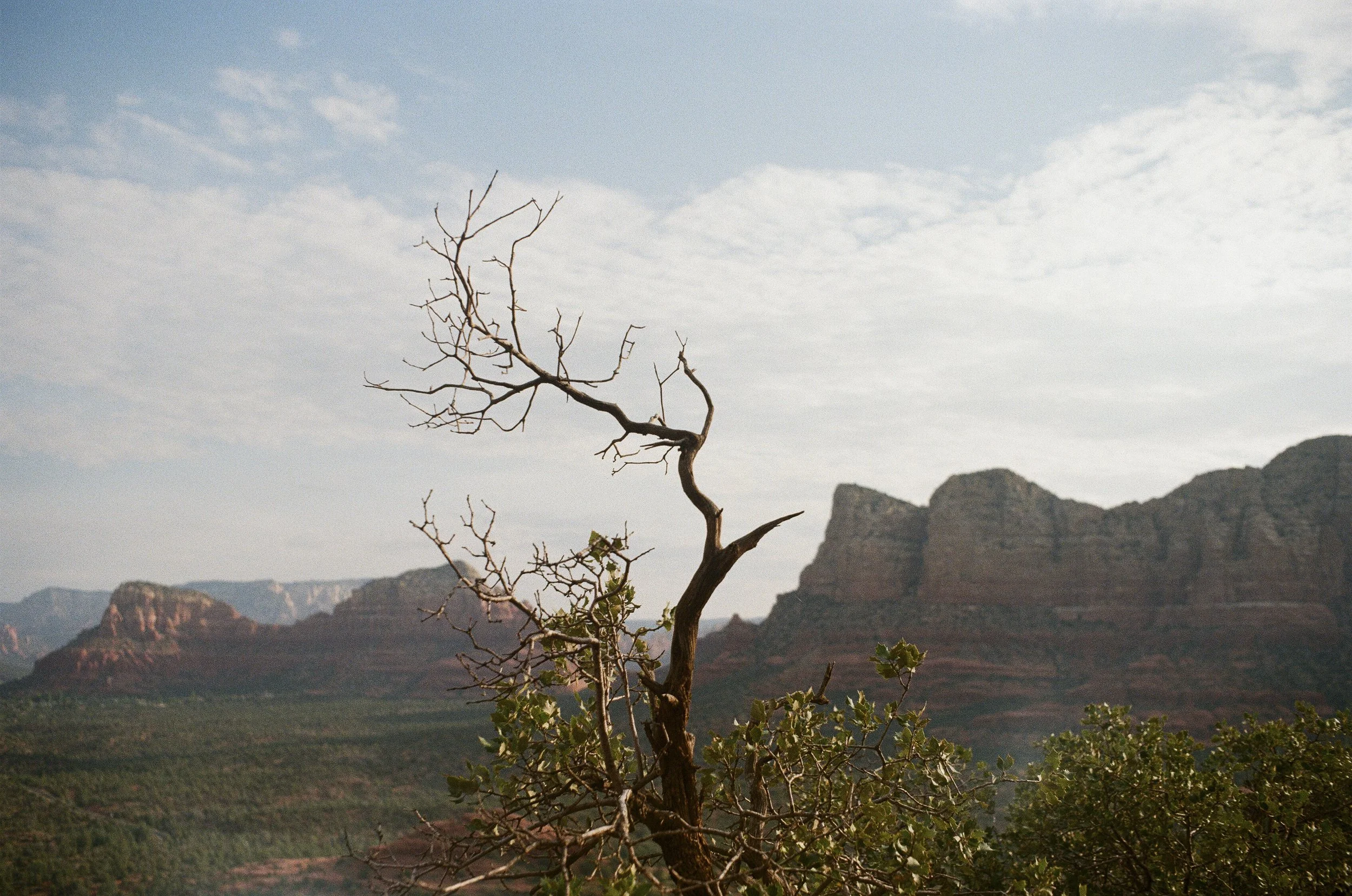 Bell Rock