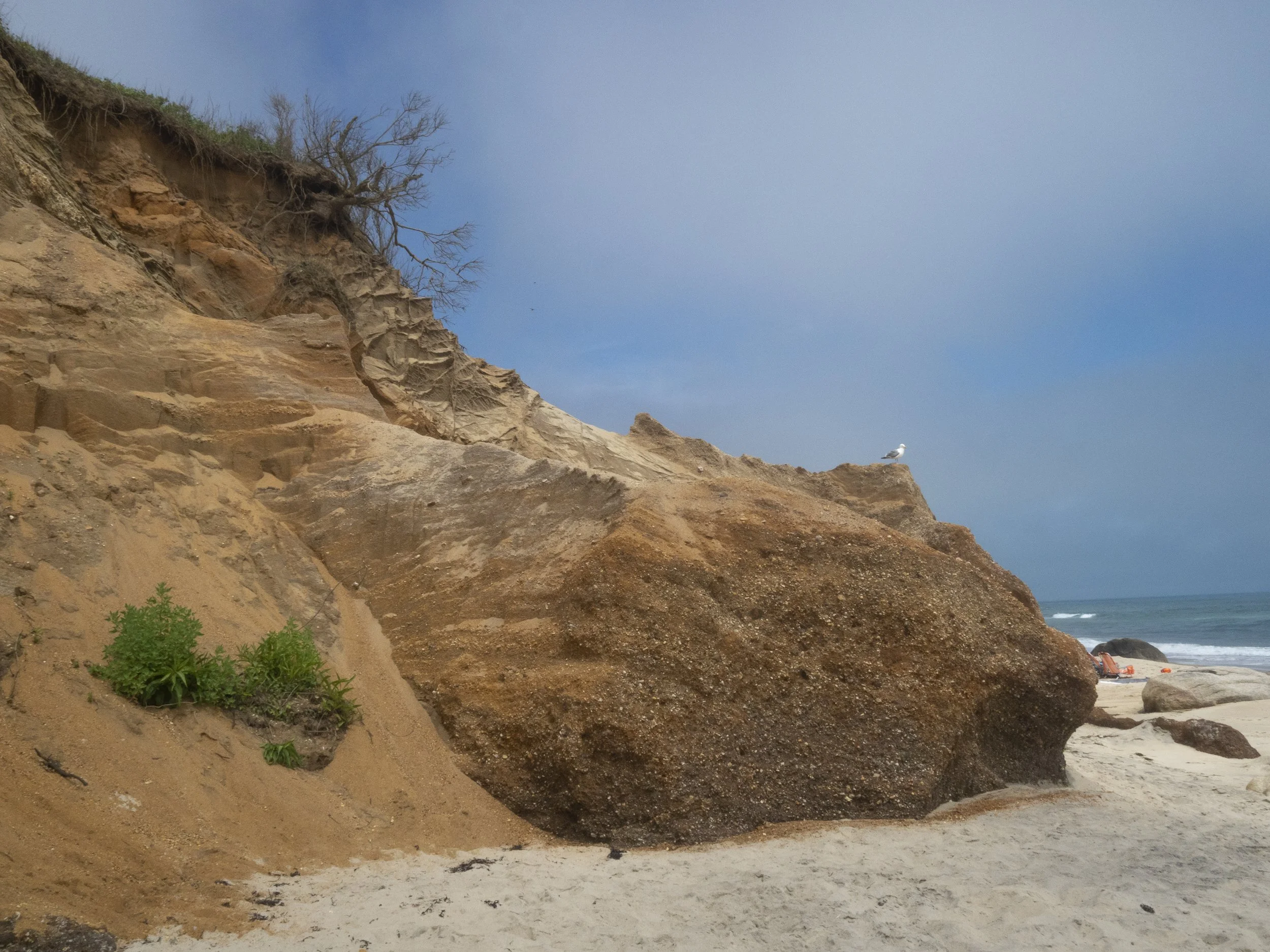 MV_ Landscapes-2.jpg