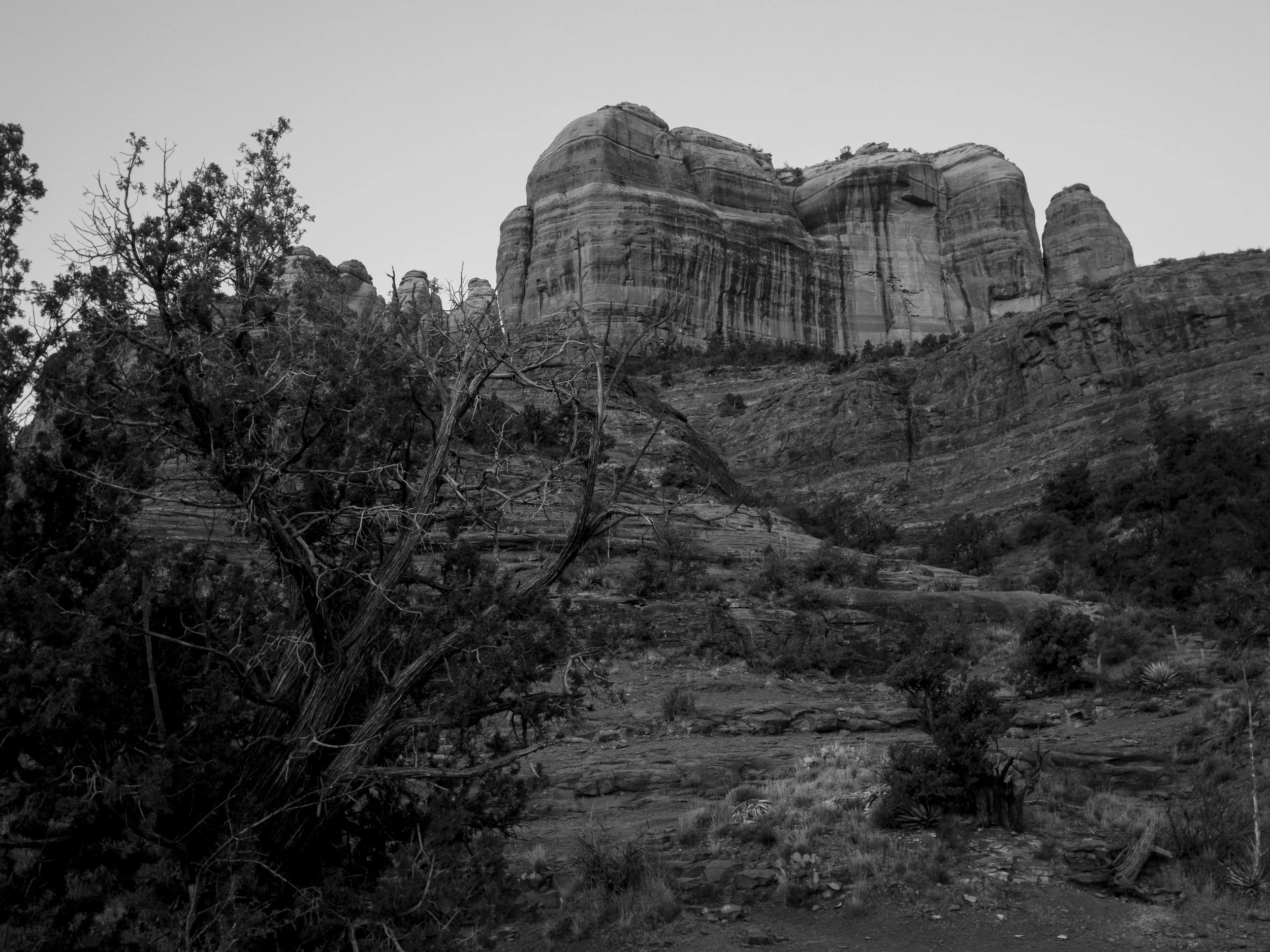 Sedona-18.jpg