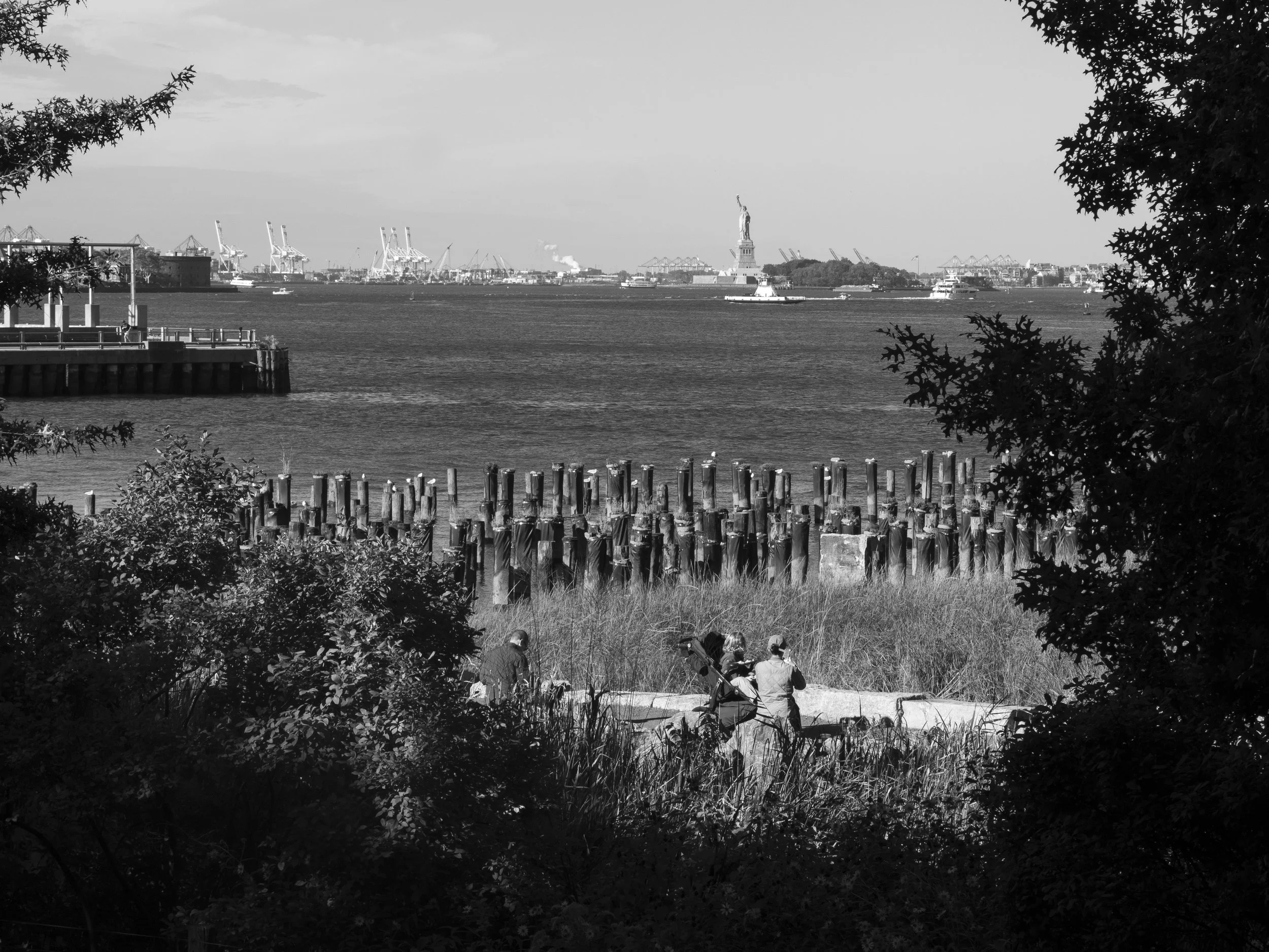 Brooklyn (10.3)-3.jpg