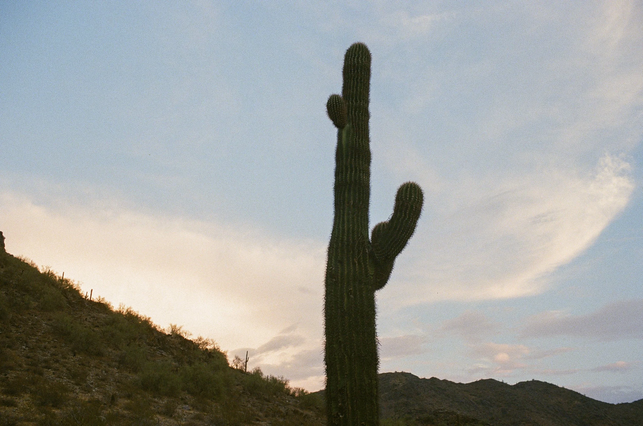 Phoenix Mountain Preserve
