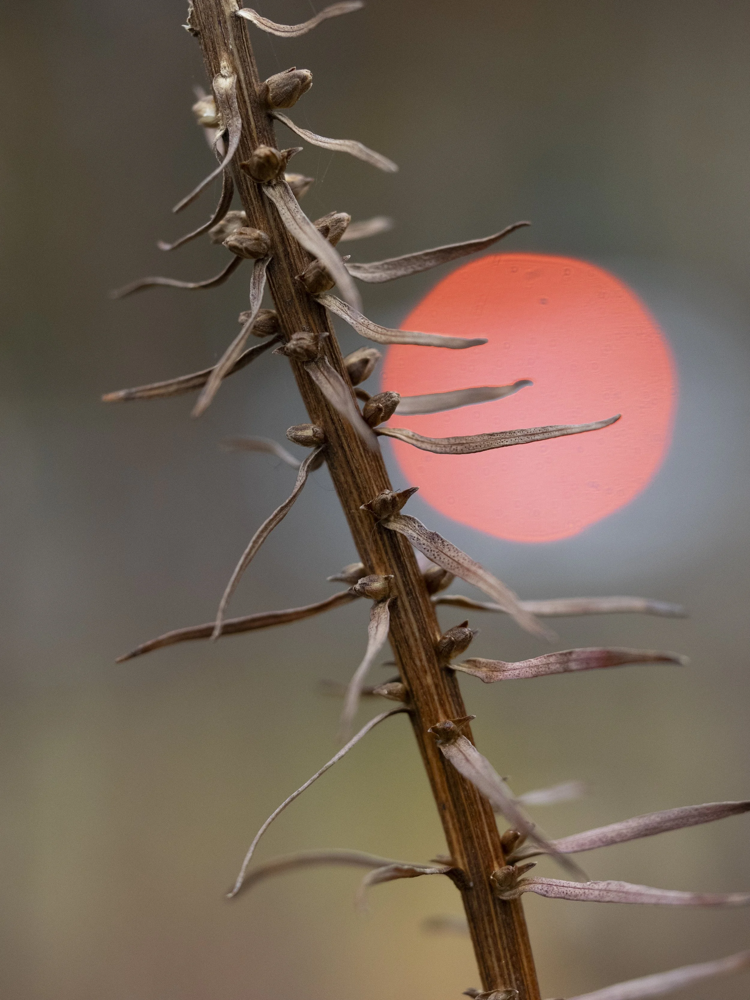 PhotosFirst-10.jpg