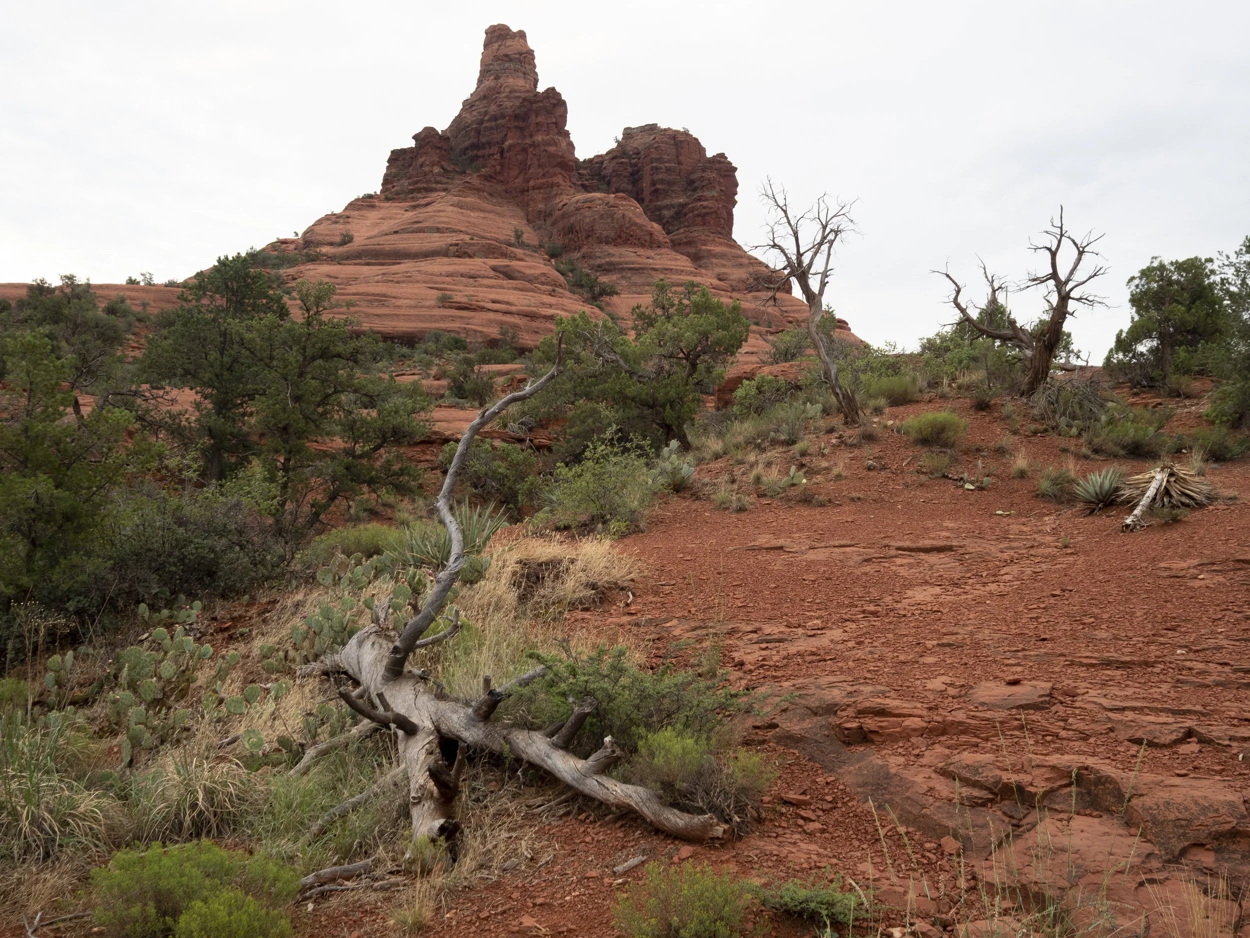 Sedona-2-2.jpg