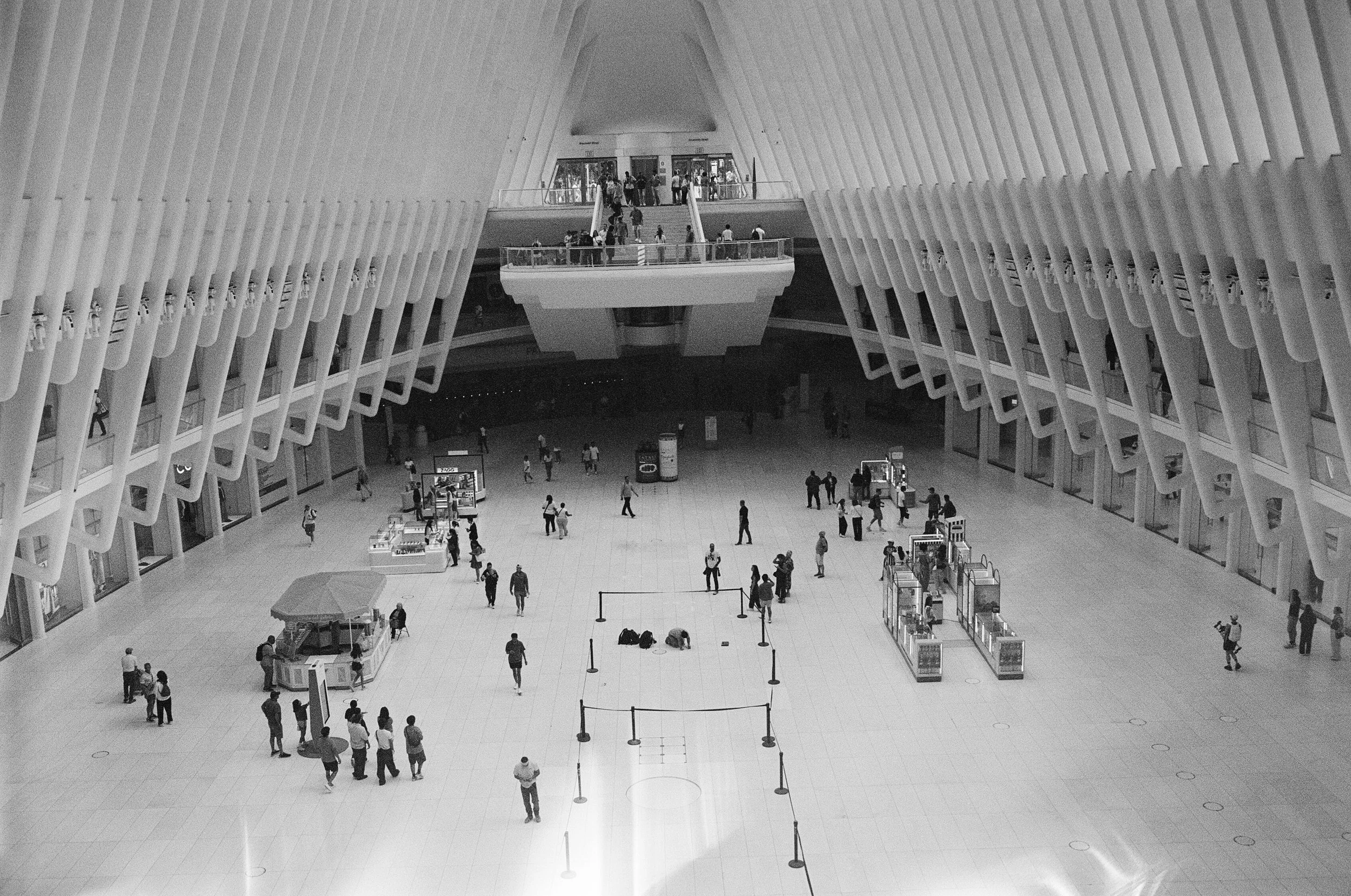 19-43820029.jpg