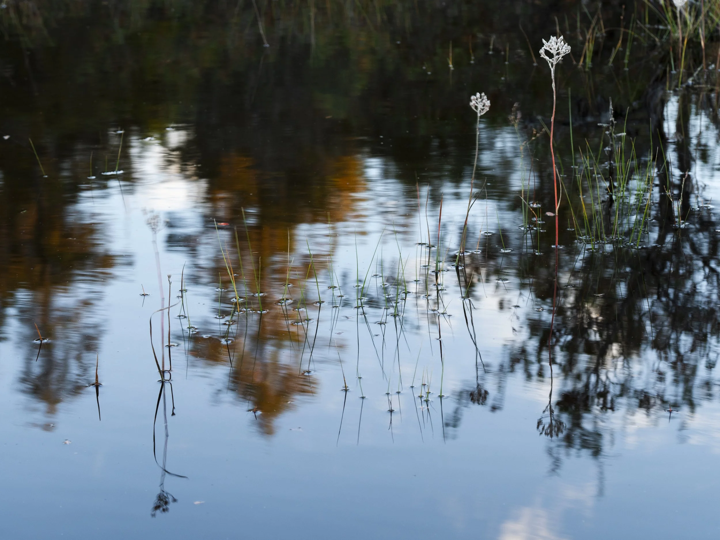 Reflection 2.